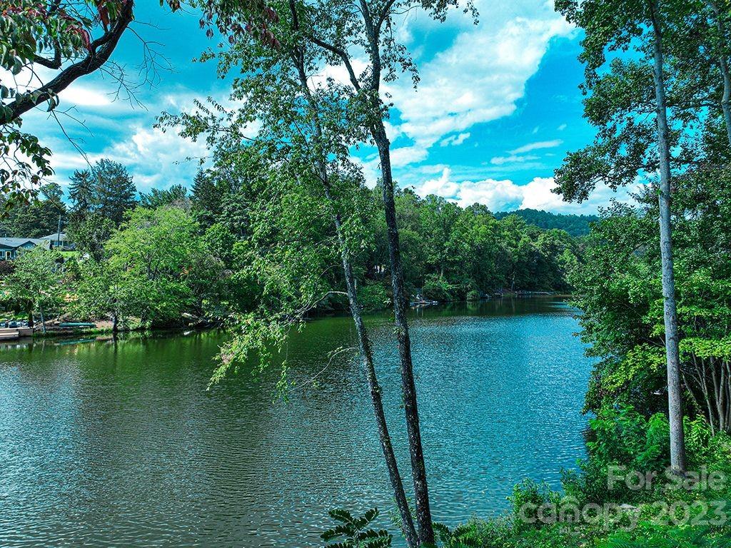 20 East Shore Drive Asheville NC 28805