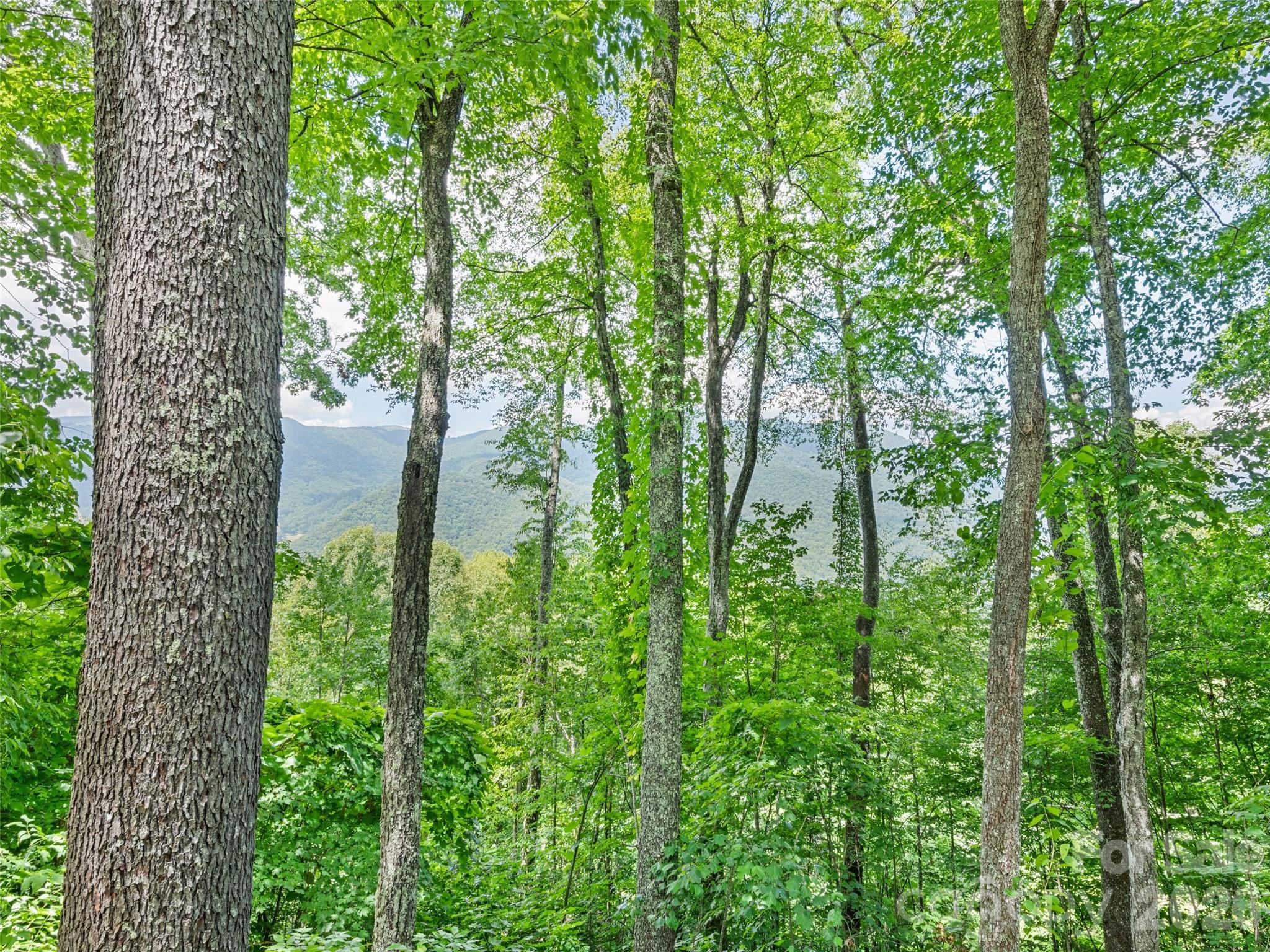 1672 Summit Drive Maggie Valley NC 28751