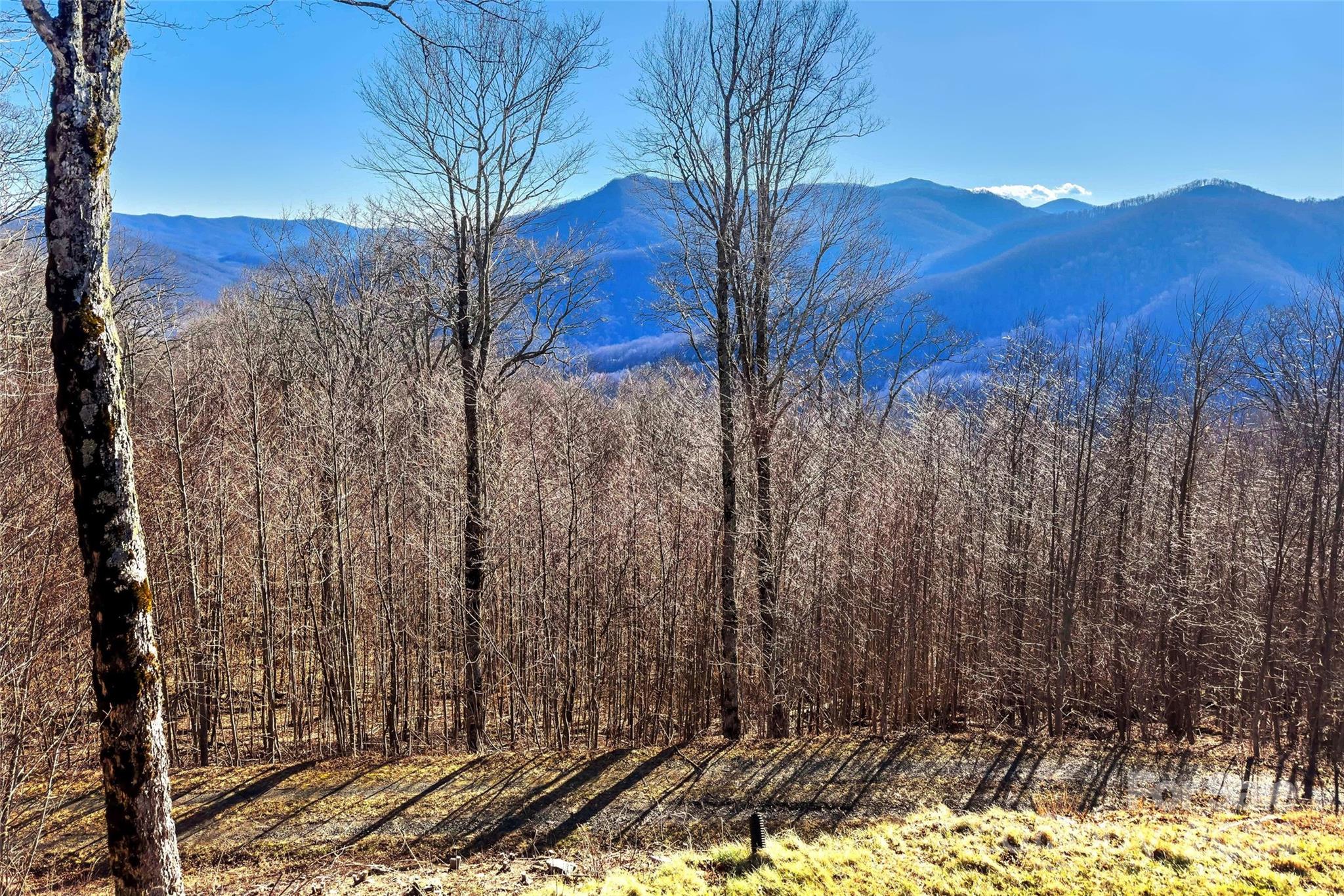 1740 Henson Creek Road Newland NC 28657