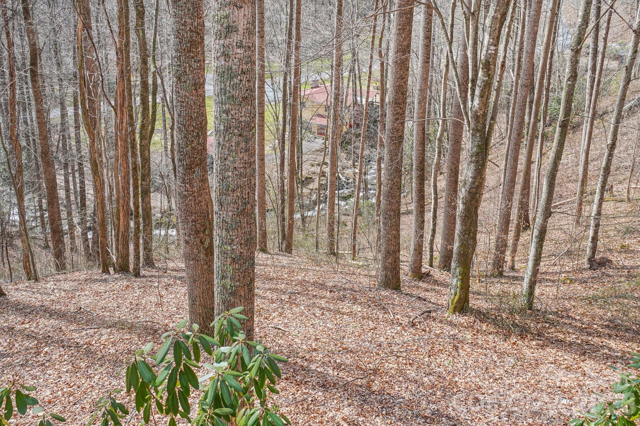 307 Roaring Creek Lane Waynesville NC 28786
