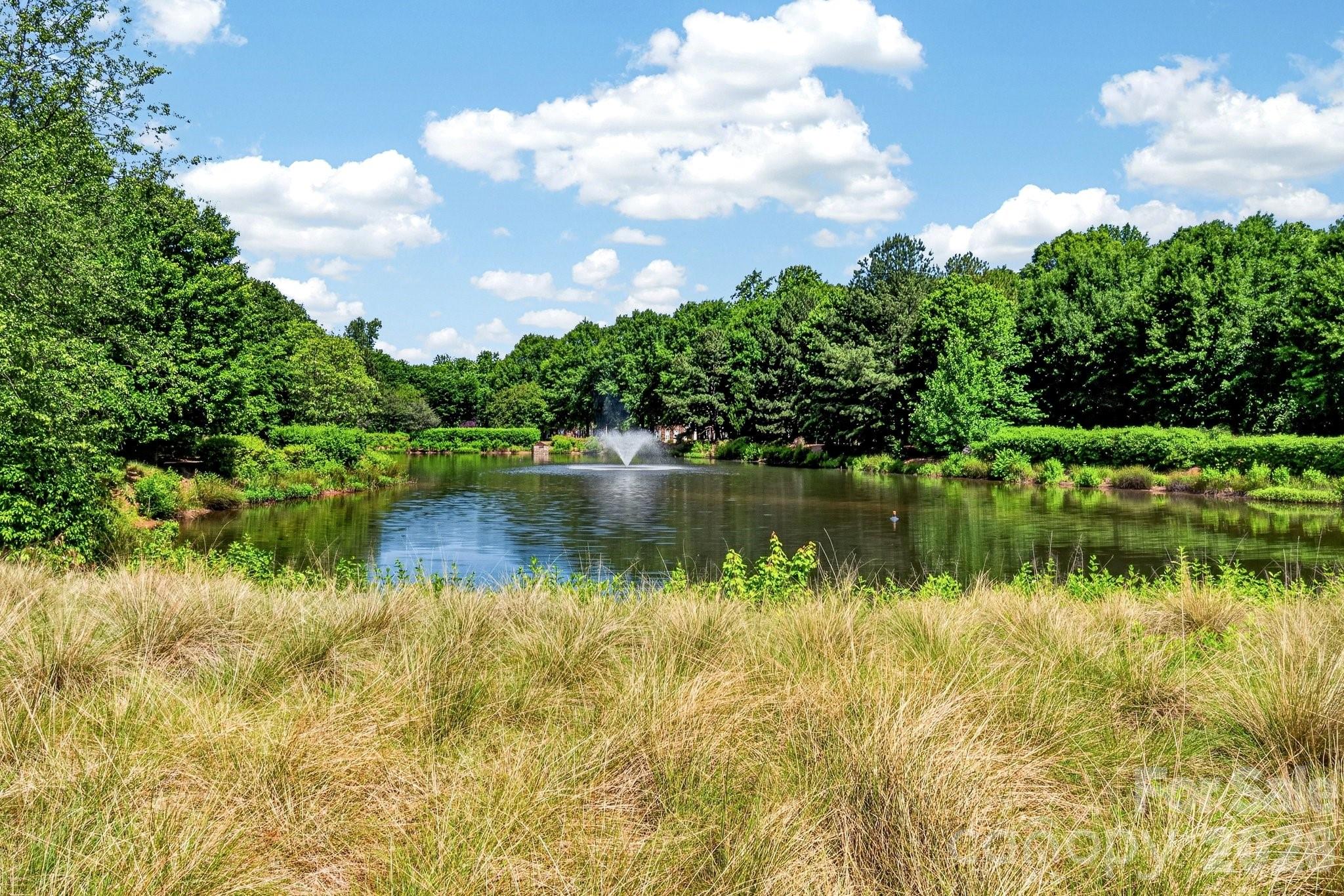 262 Harbour Place Drive Davidson NC 28036