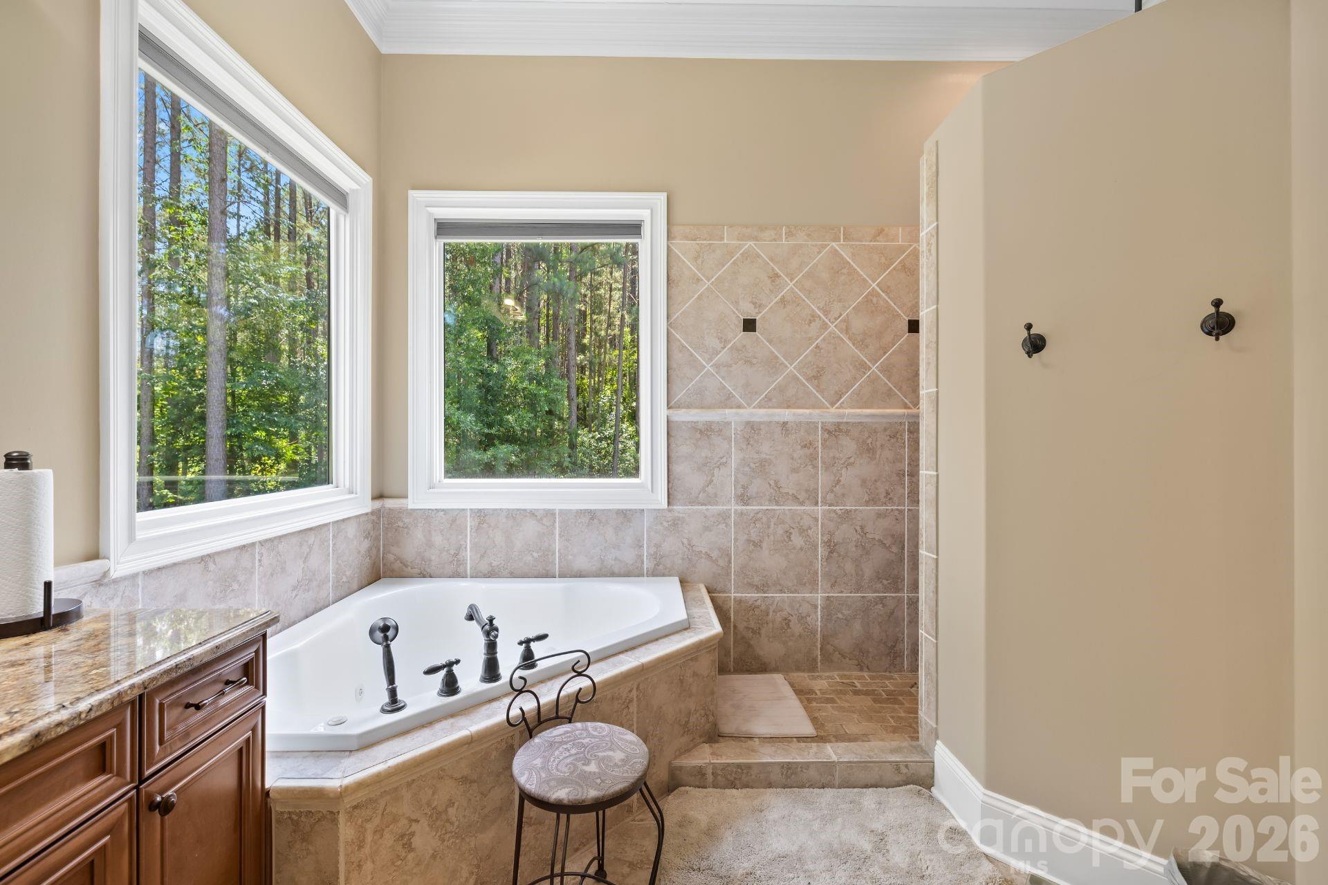 168 Blue Ridge Trail Mooresville NC 28117