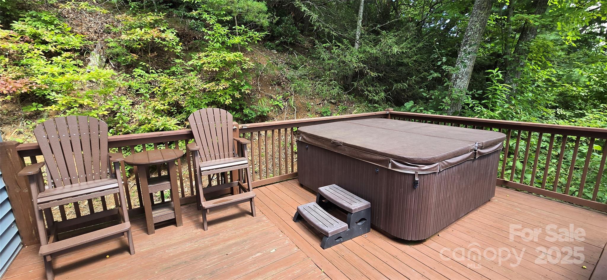 607 Rocky Top Trail Barnardsville NC 28709