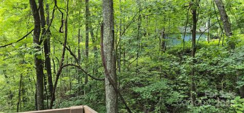 607 Rocky Top Trail Barnardsville NC 28709