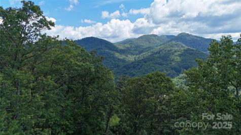 607 Rocky Top Trail Barnardsville NC 28709