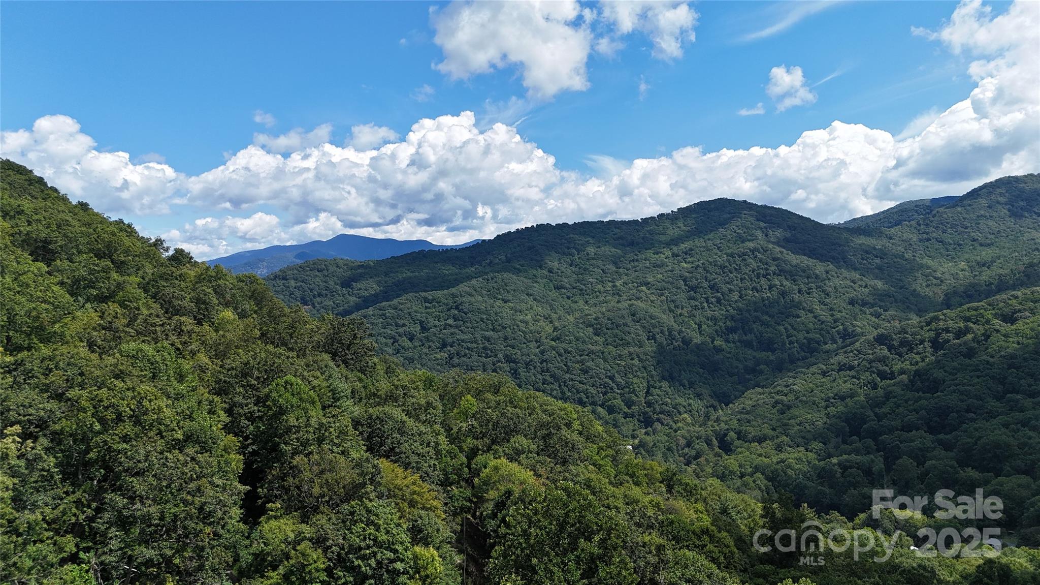 607 Rocky Top Trail Barnardsville NC 28709