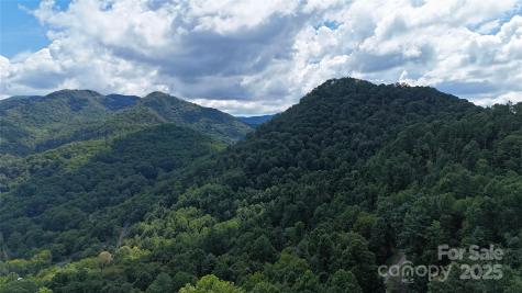 607 Rocky Top Trail Barnardsville NC 28709