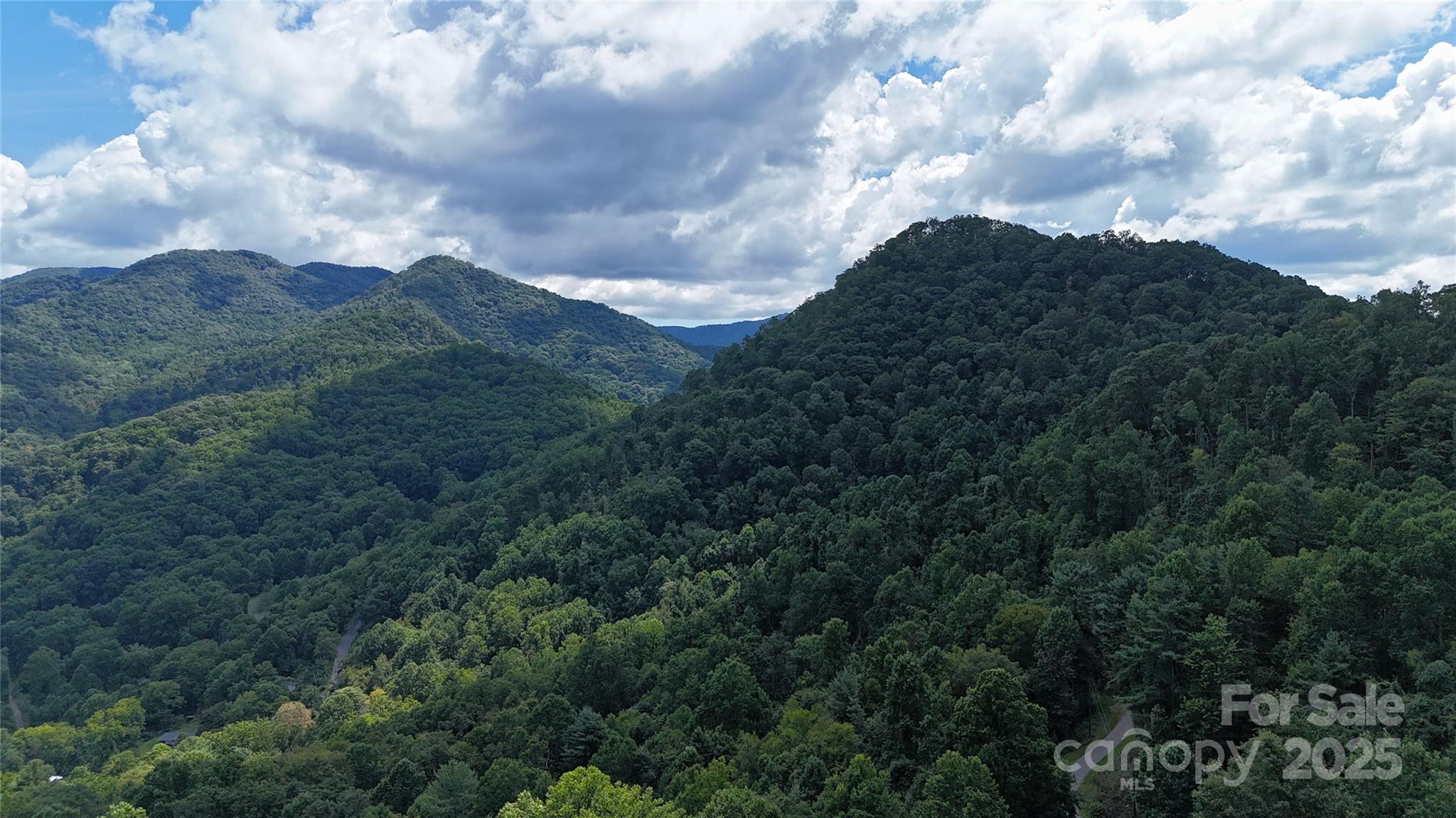 607 Rocky Top Trail Barnardsville NC 28709