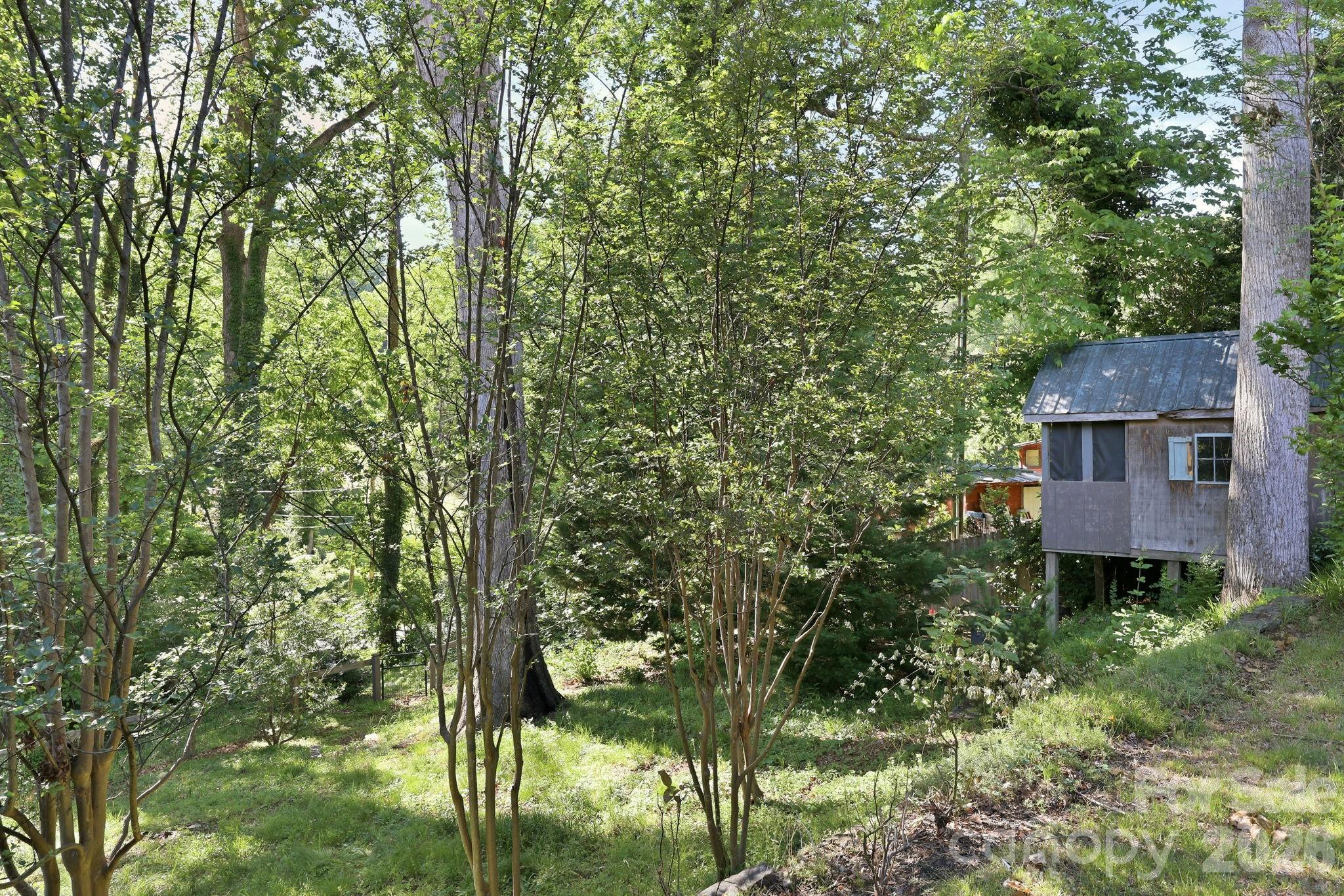 150 Pacolet Street Tryon NC 28782