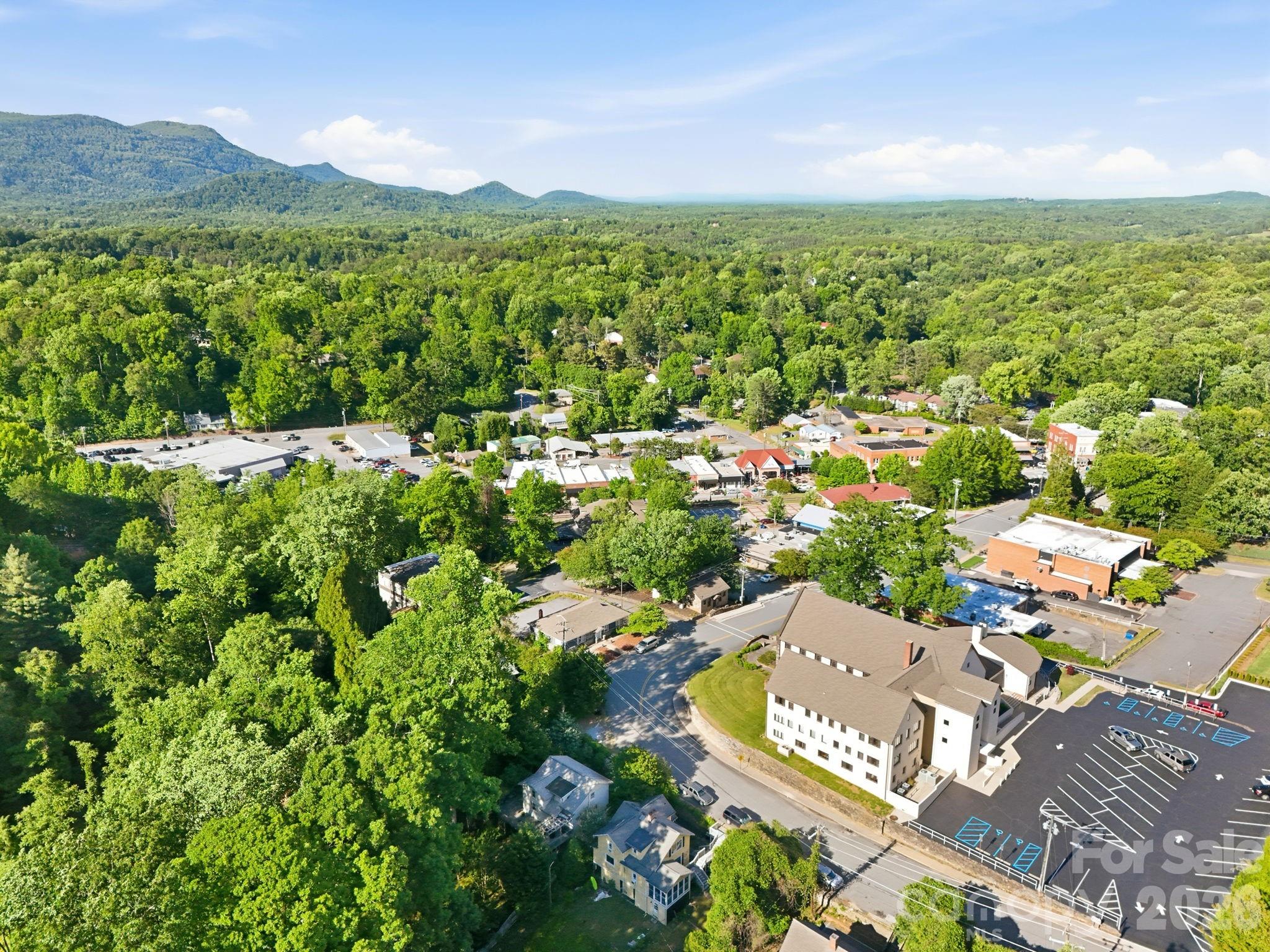150 Pacolet Street Tryon NC 28782