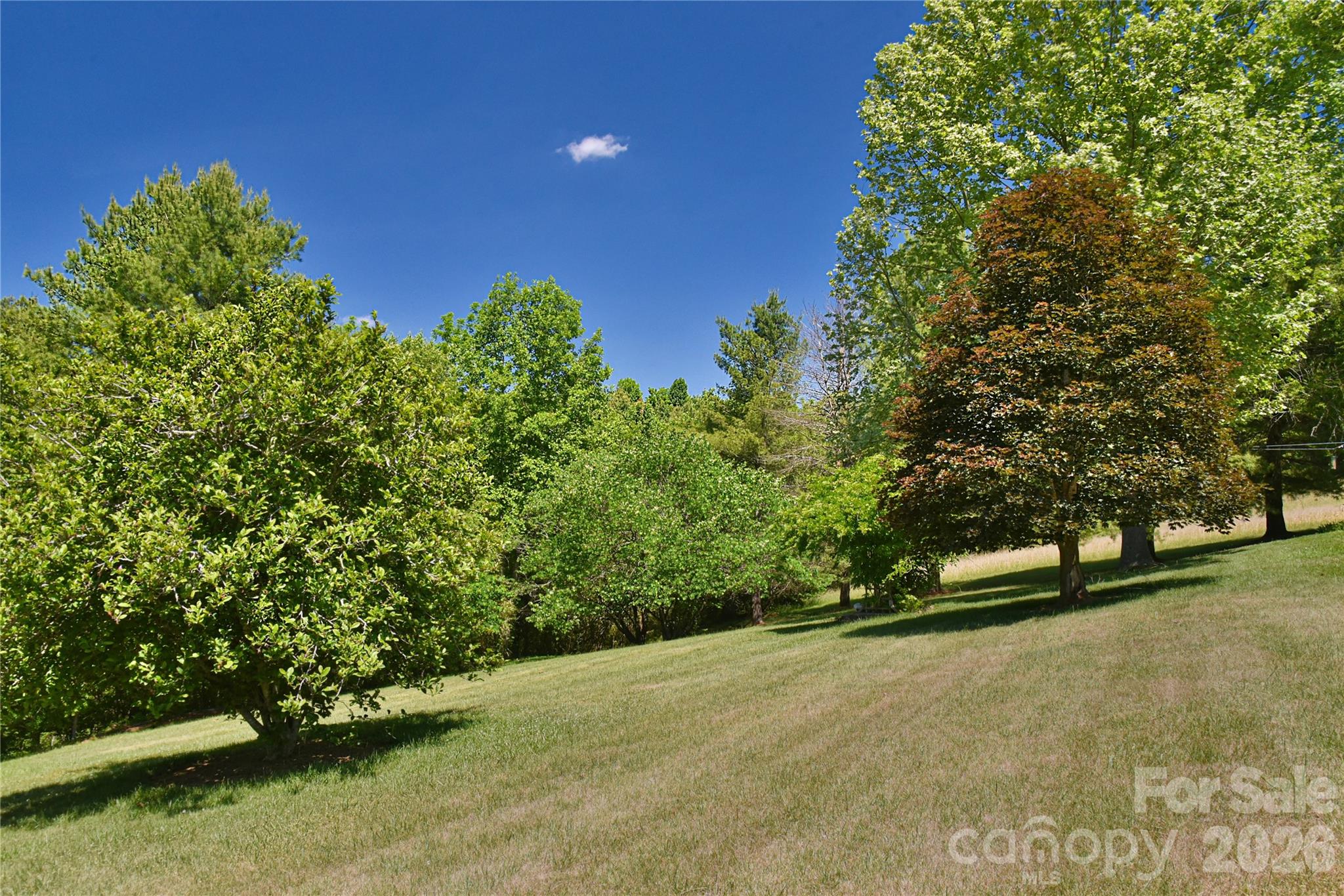 518 Forest Ridge Drive Mars Hill NC 28754