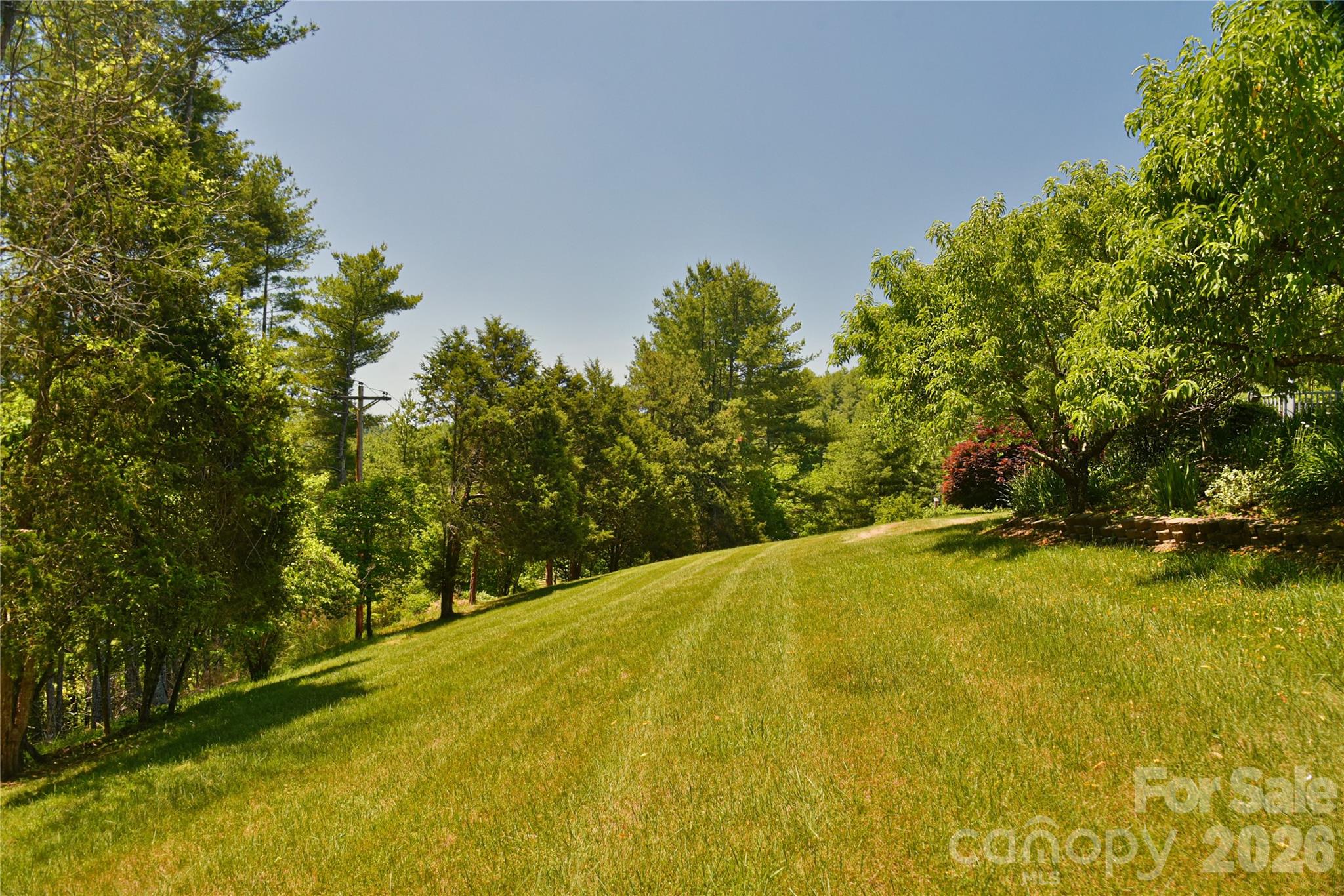 518 Forest Ridge Drive Mars Hill NC 28754