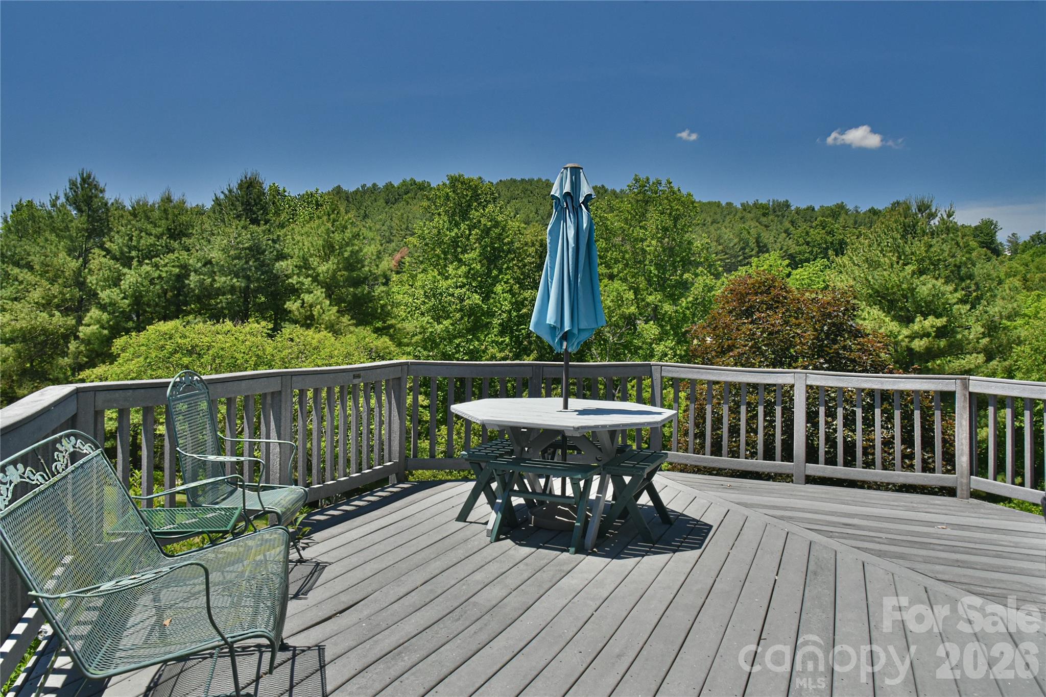518 Forest Ridge Drive Mars Hill NC 28754