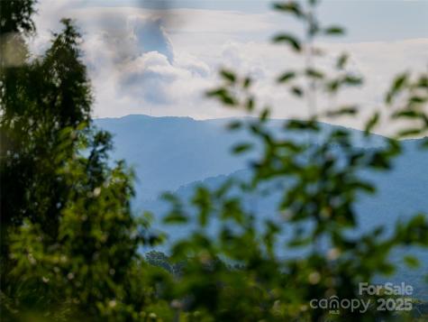 3 N Delano Road Asheville NC 28805