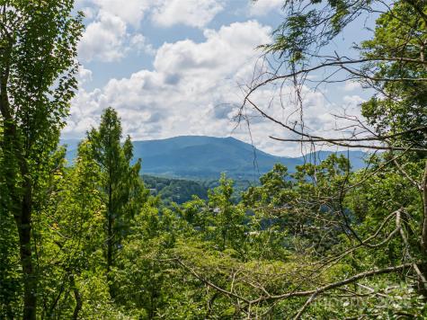 3 N Delano Road Asheville NC 28805