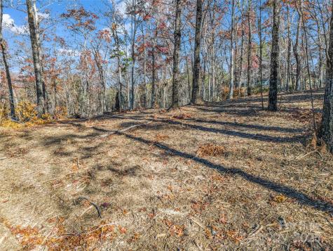Lot 30 Deep Gap Farm Road E Mill Spring NC 28756