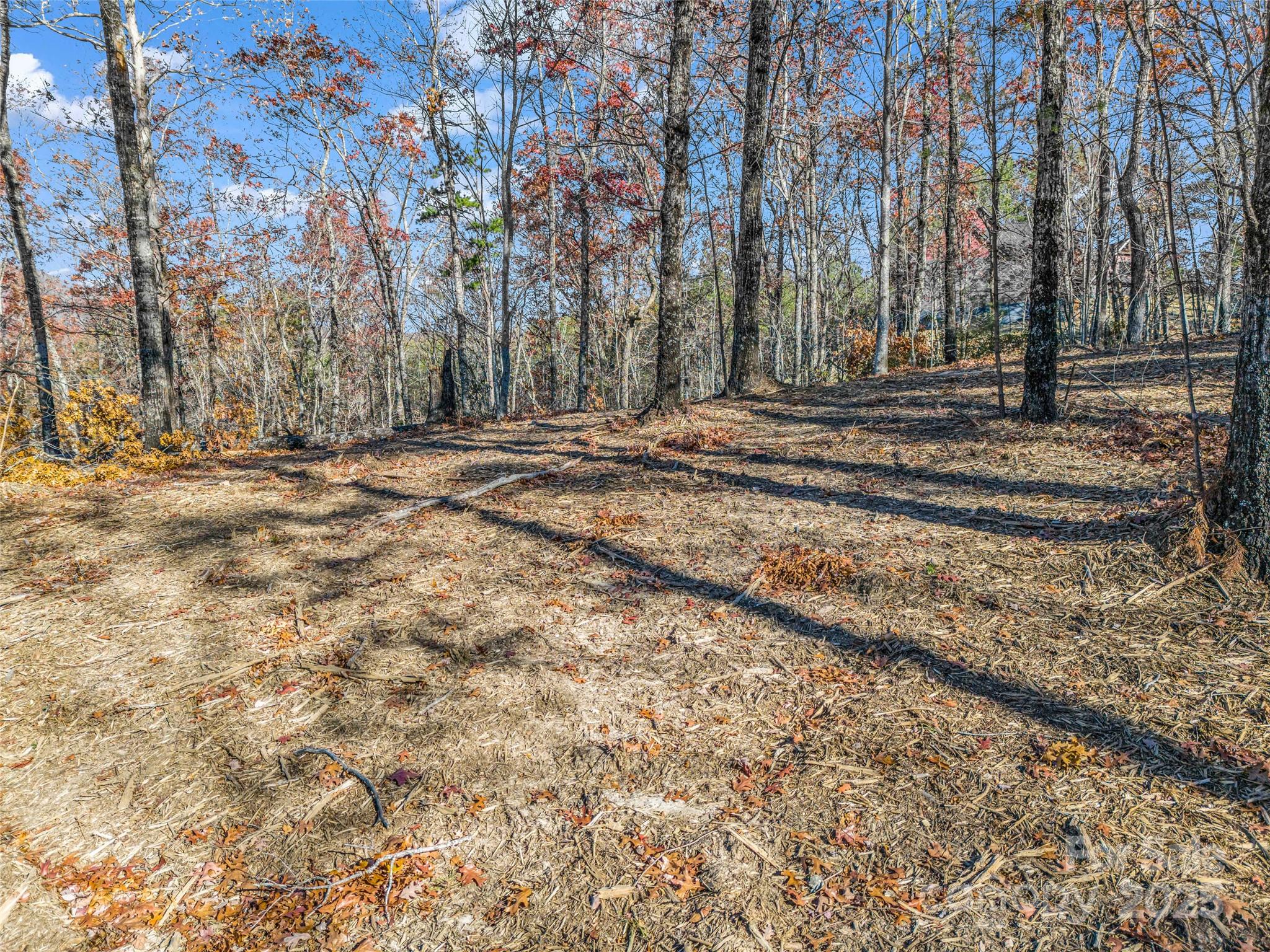 Lot 30 Deep Gap Farm Road E Mill Spring NC 28756
