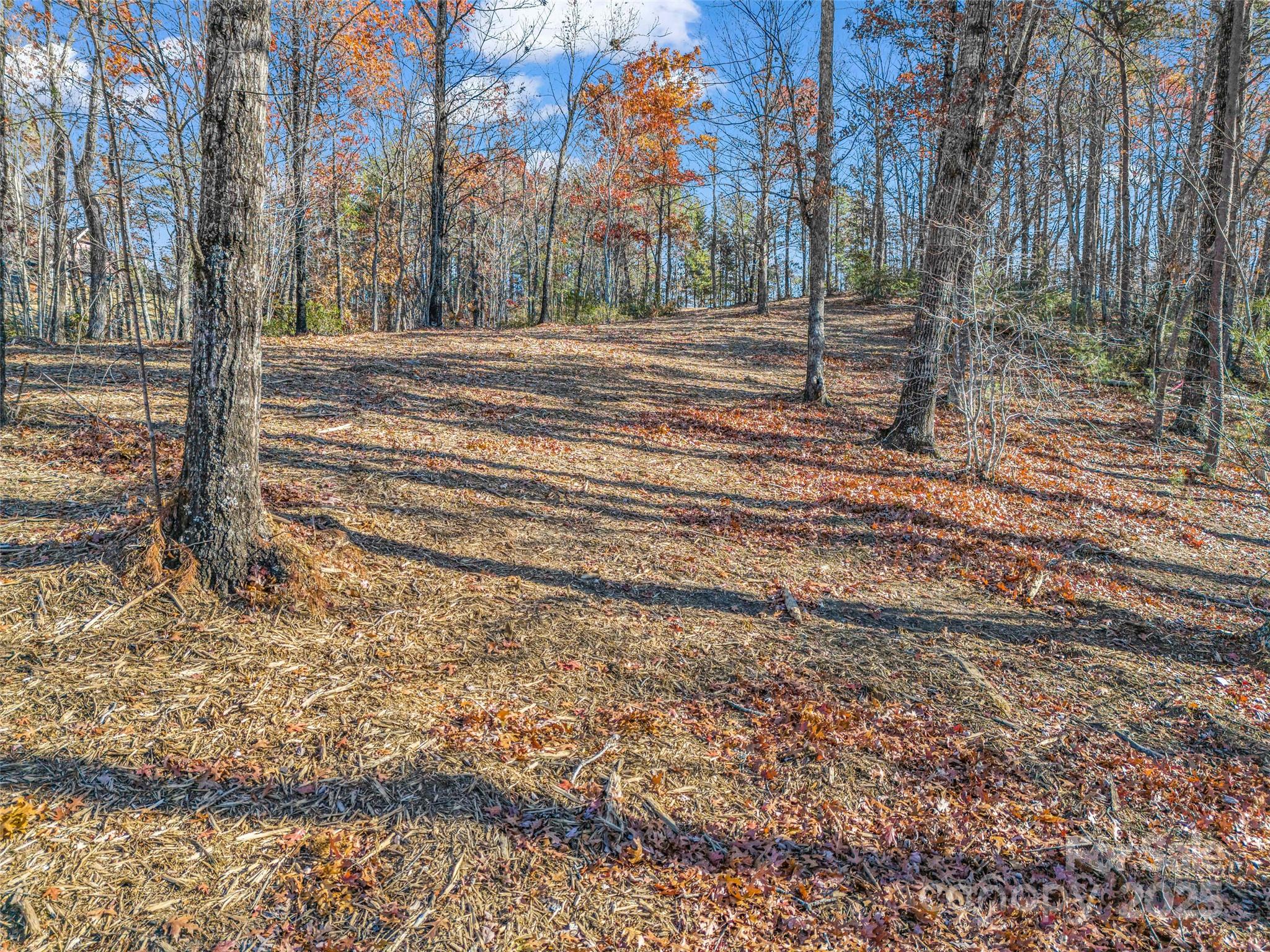 Lot 30 Deep Gap Farm Road E Mill Spring NC 28756