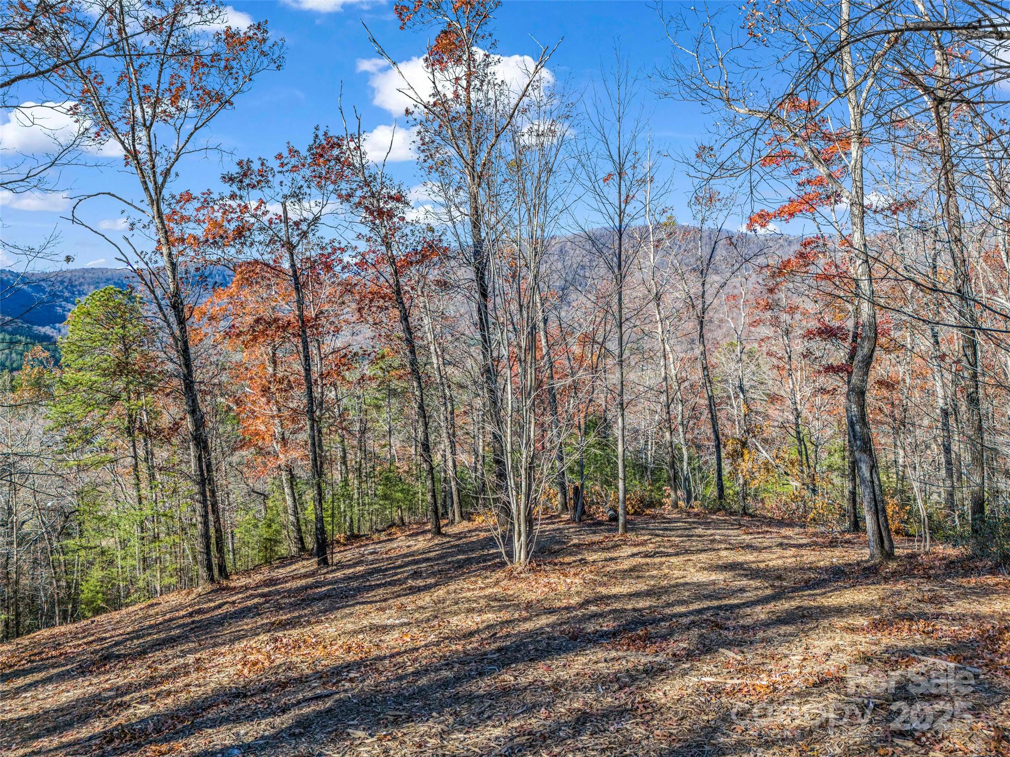 Lot 30 Deep Gap Farm Road E Mill Spring NC 28756