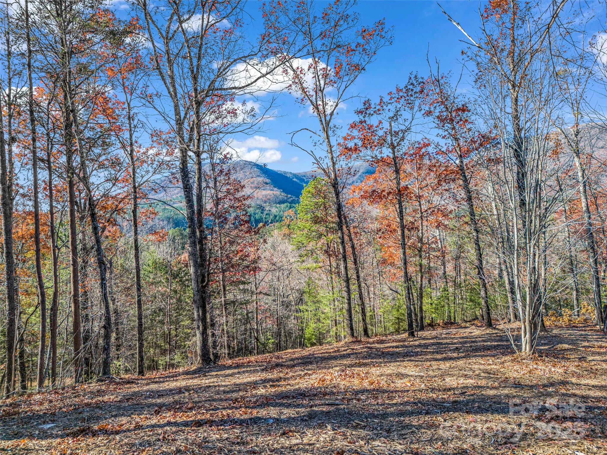 Lot 30 Deep Gap Farm Road E Mill Spring NC 28756