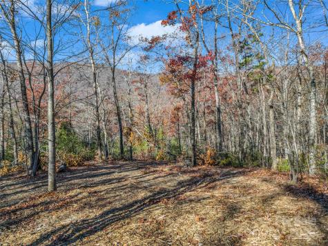 Lot 30 Deep Gap Farm Road E Mill Spring NC 28756