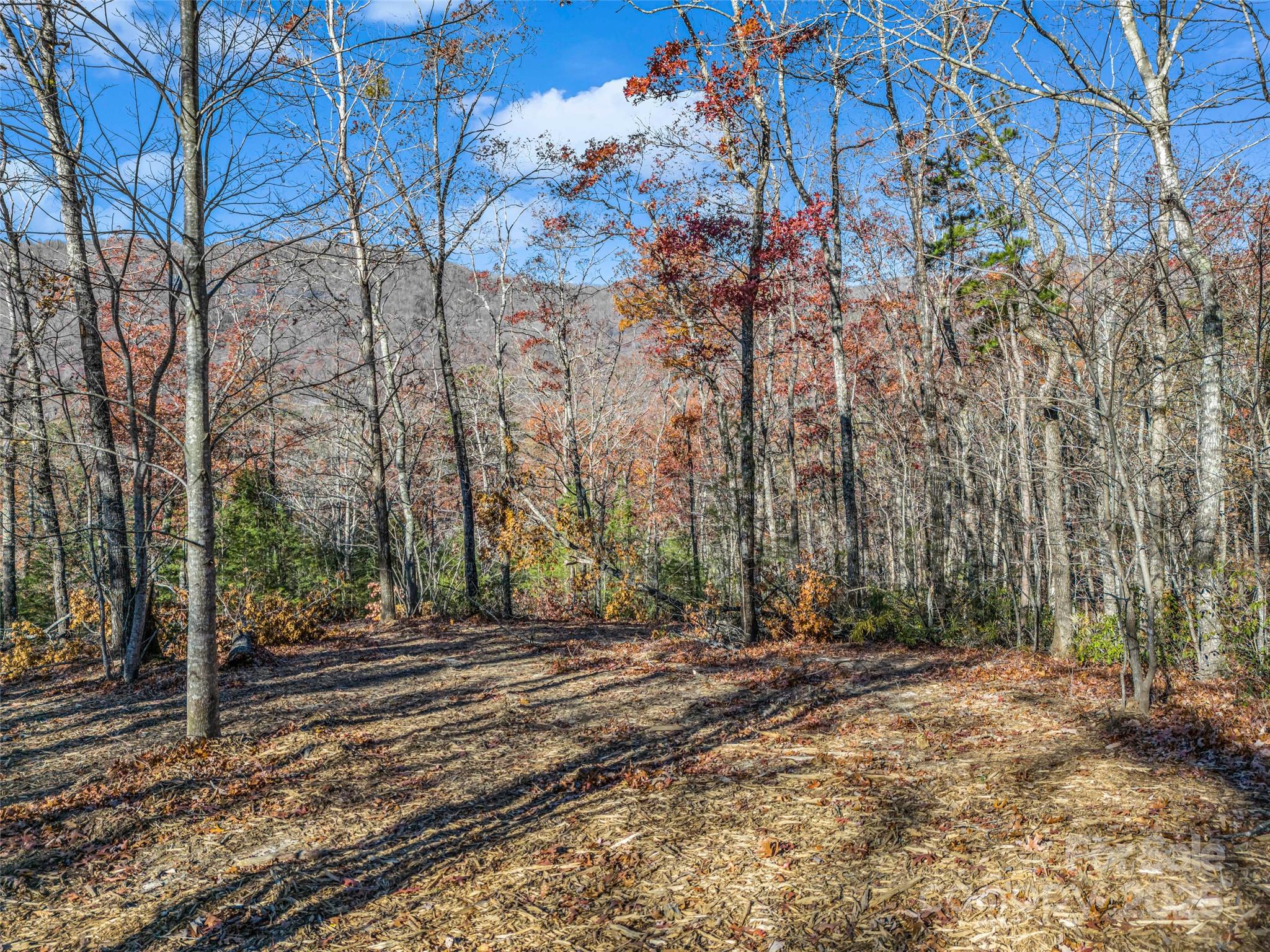 Lot 30 Deep Gap Farm Road E Mill Spring NC 28756