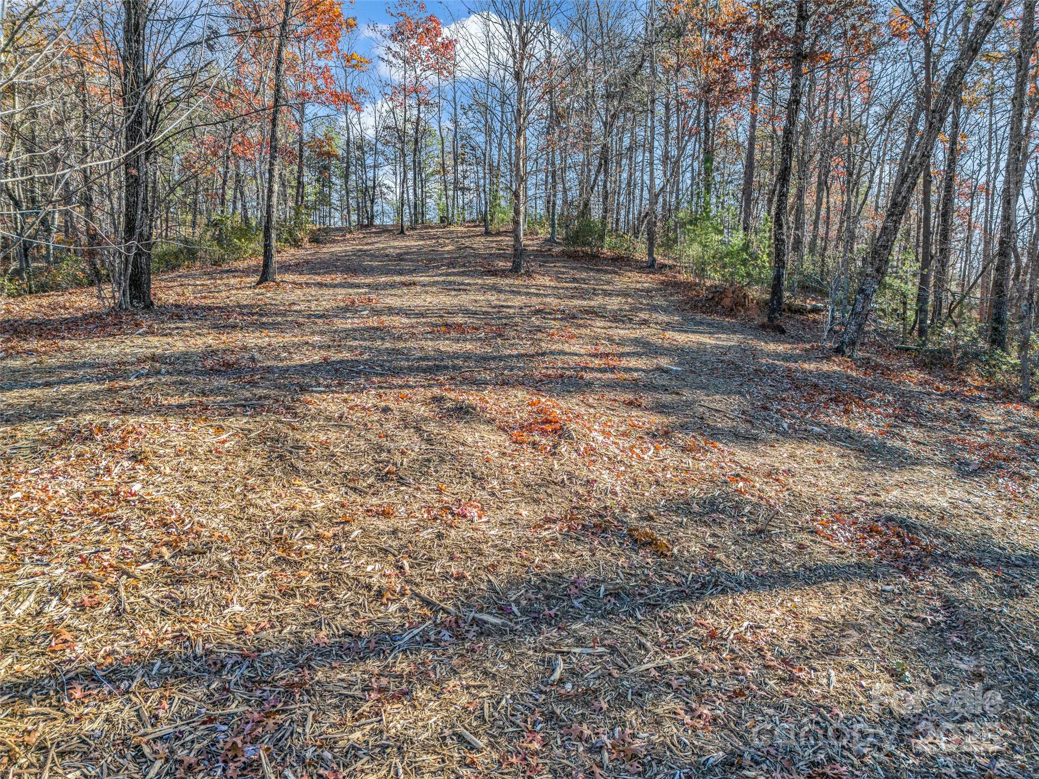 Lot 30 Deep Gap Farm Road E Mill Spring NC 28756