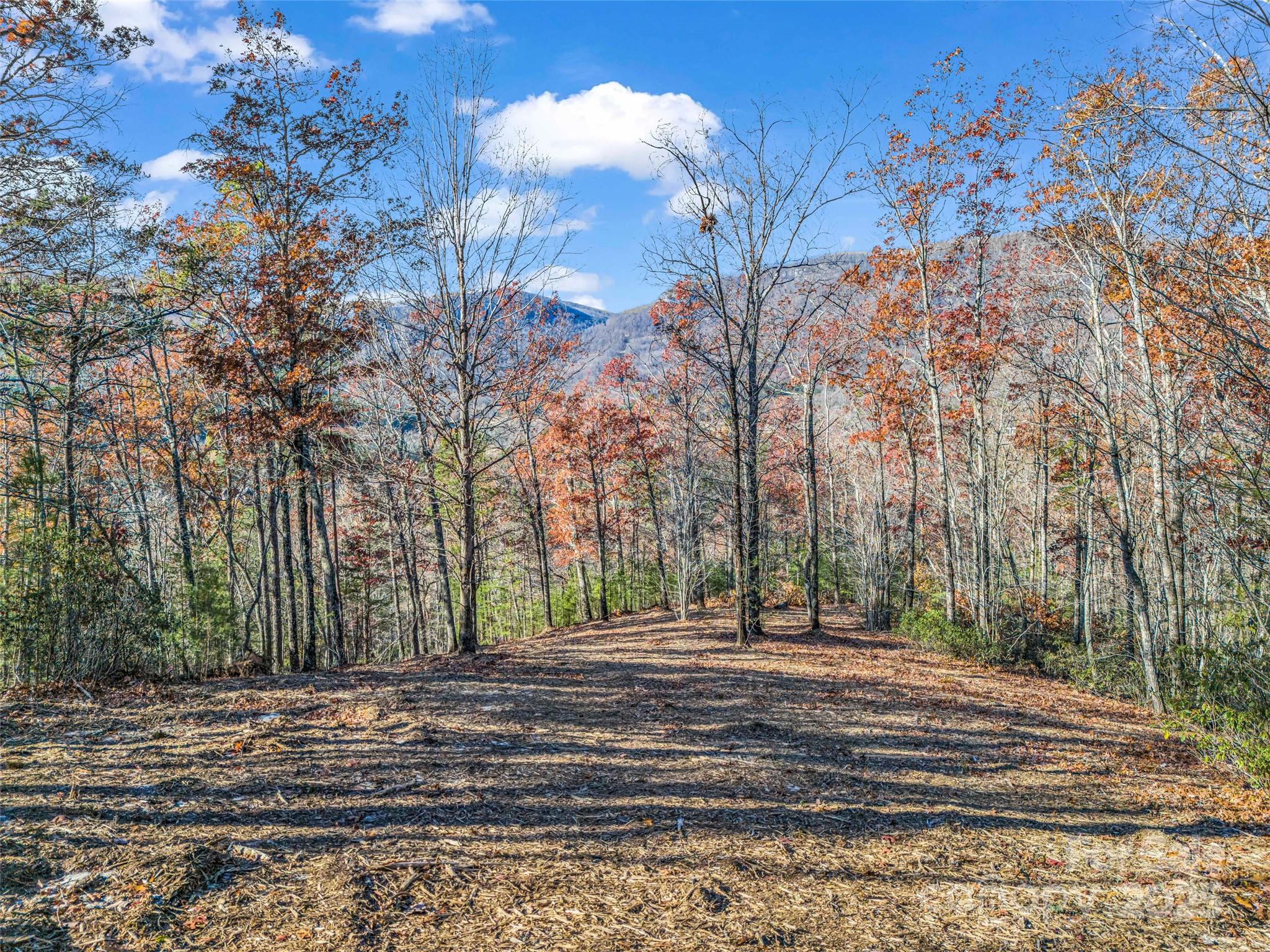 Lot 30 Deep Gap Farm Road E Mill Spring NC 28756