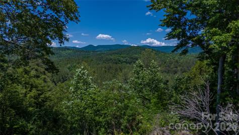 1542 Hwy 226 Highway Casar NC 28020