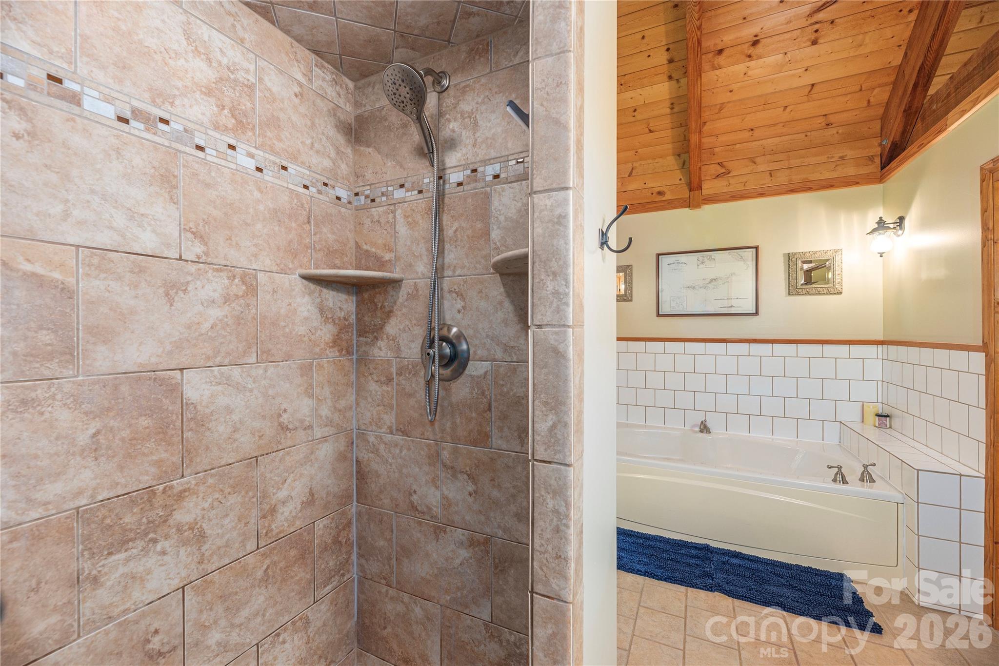 116 Ivy Road Mills River NC 28759