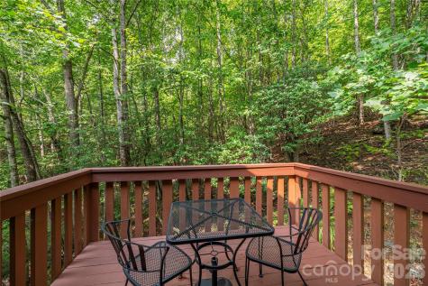116 Ivy Road Mills River NC 28759