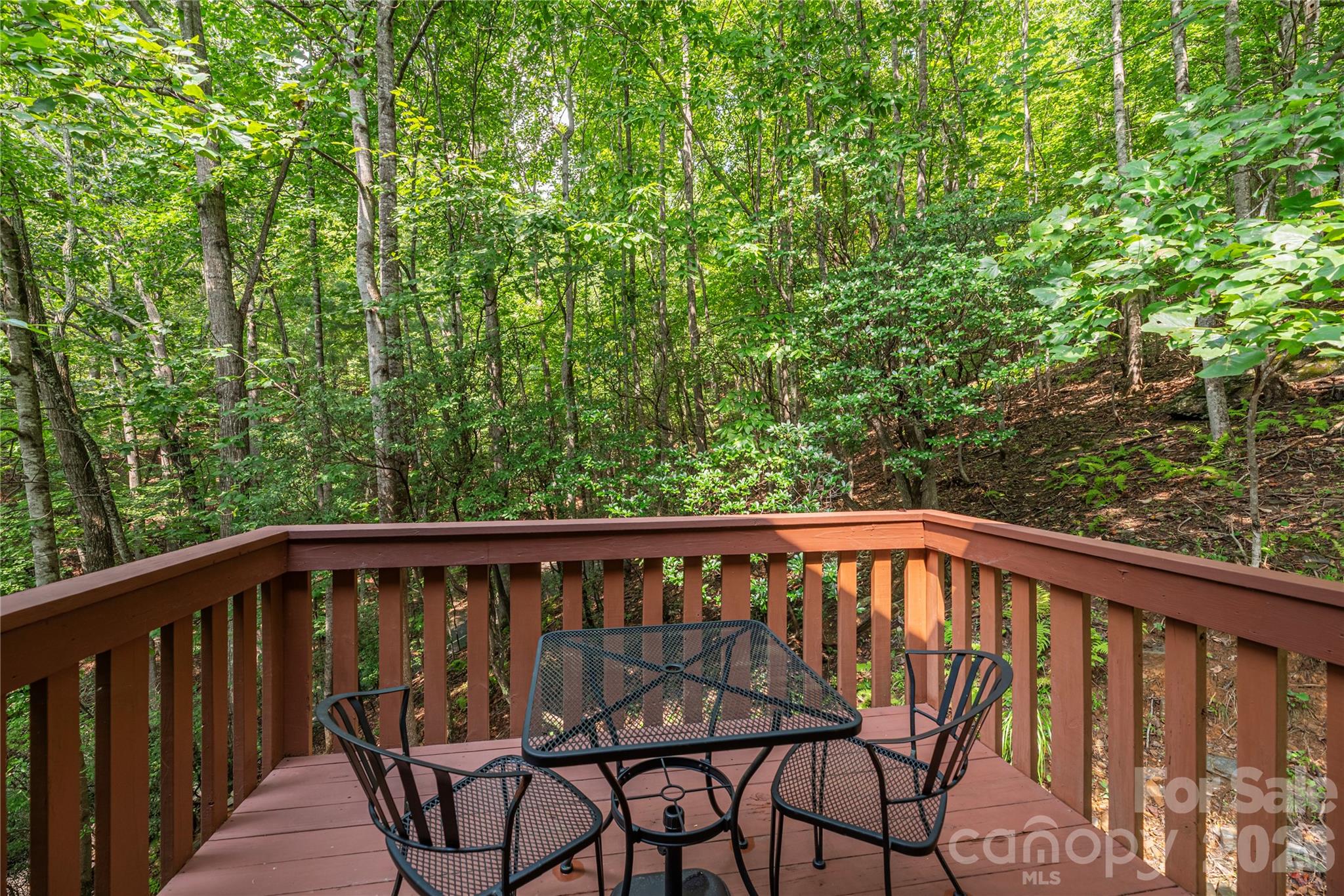116 Ivy Road Mills River NC 28759