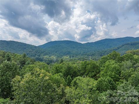 116 Ivy Road Mills River NC 28759