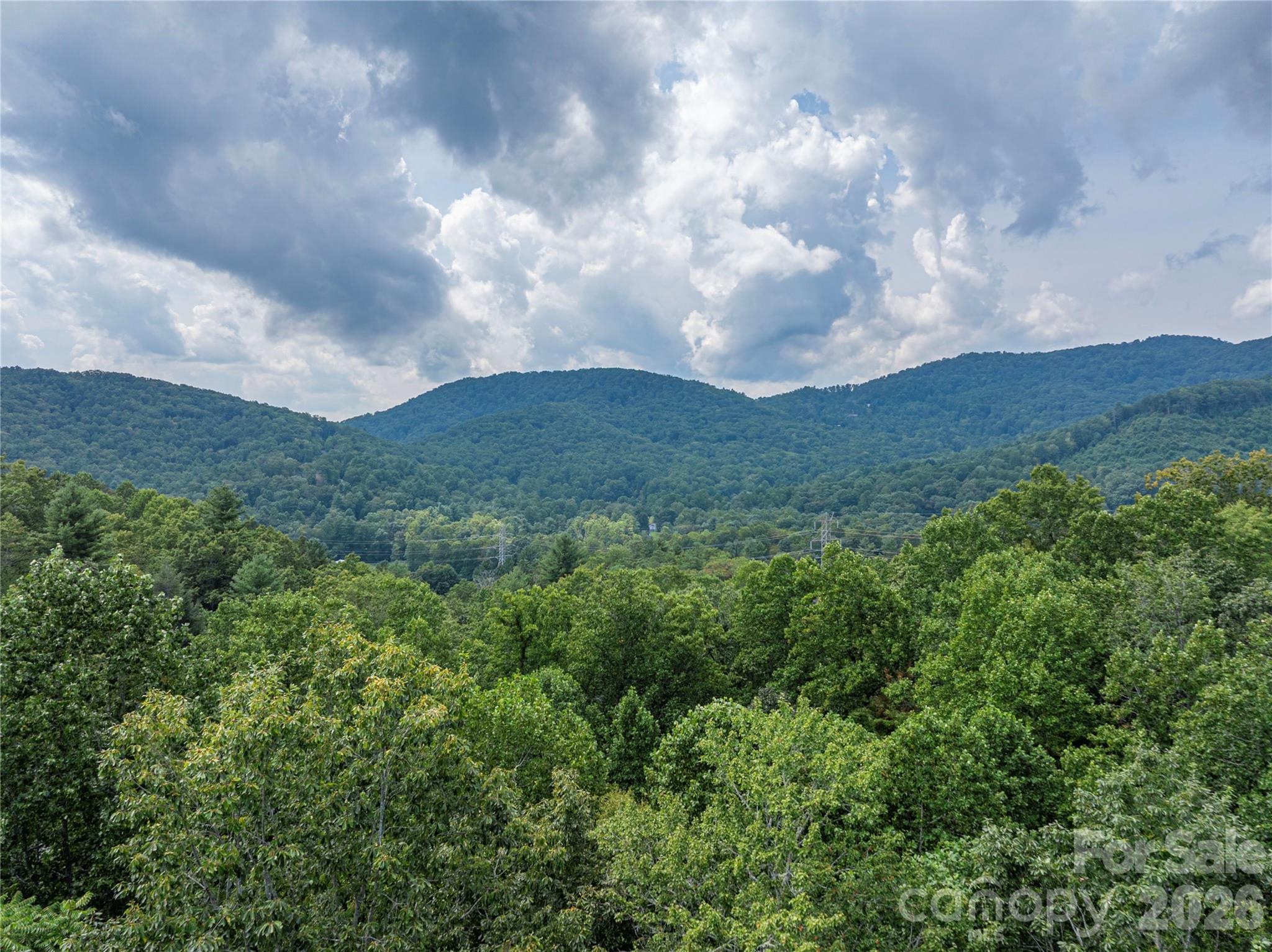116 Ivy Road Mills River NC 28759