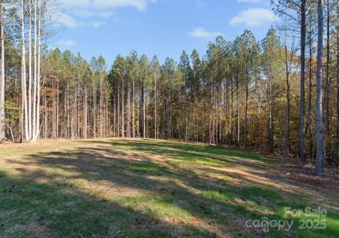 2572 Norton Avenue Denver NC 28037