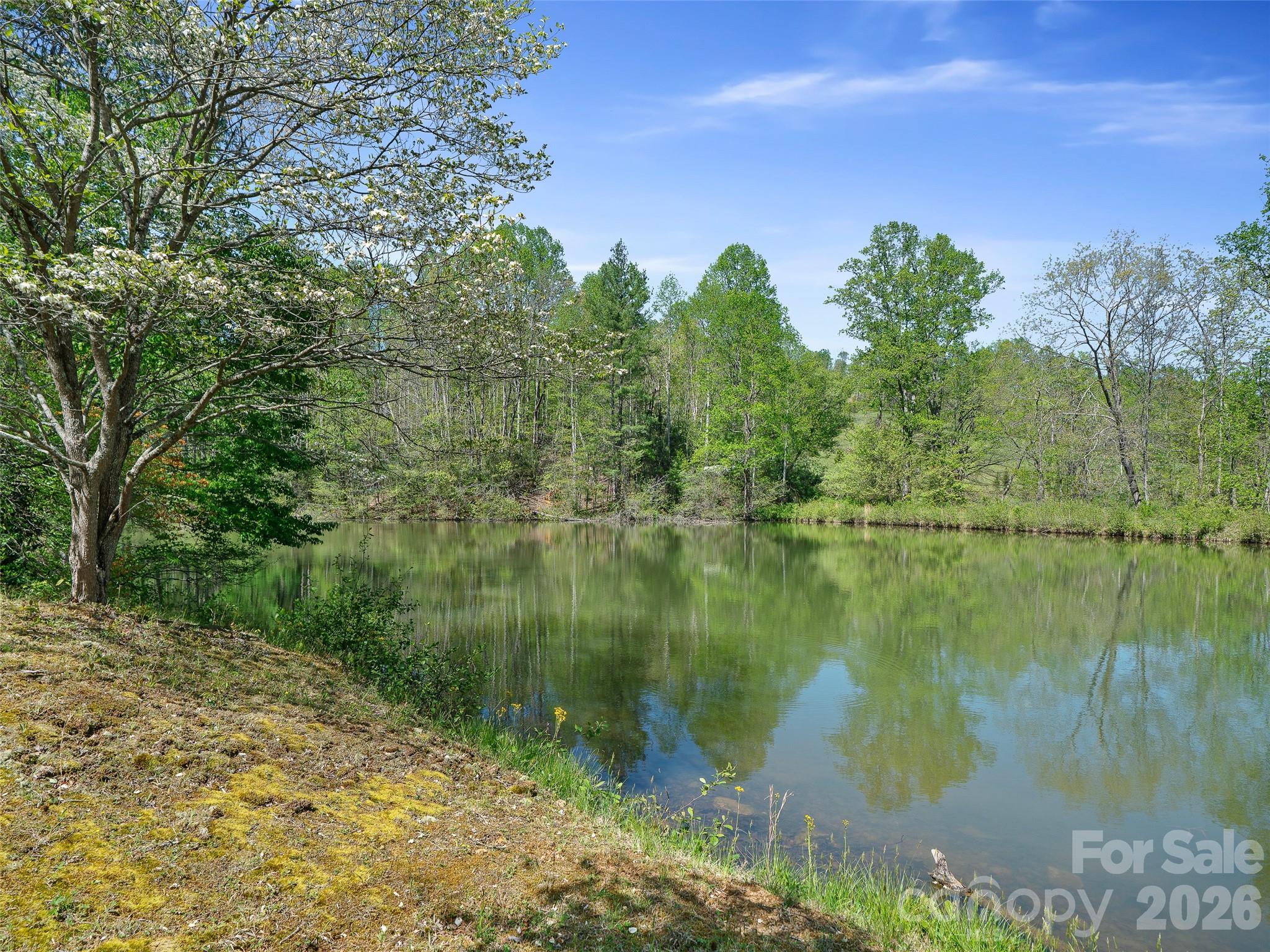 376 Hoot Owl Road Spruce Pine NC 28777