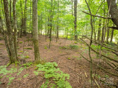 230 West Cove Lane Boone NC 28607