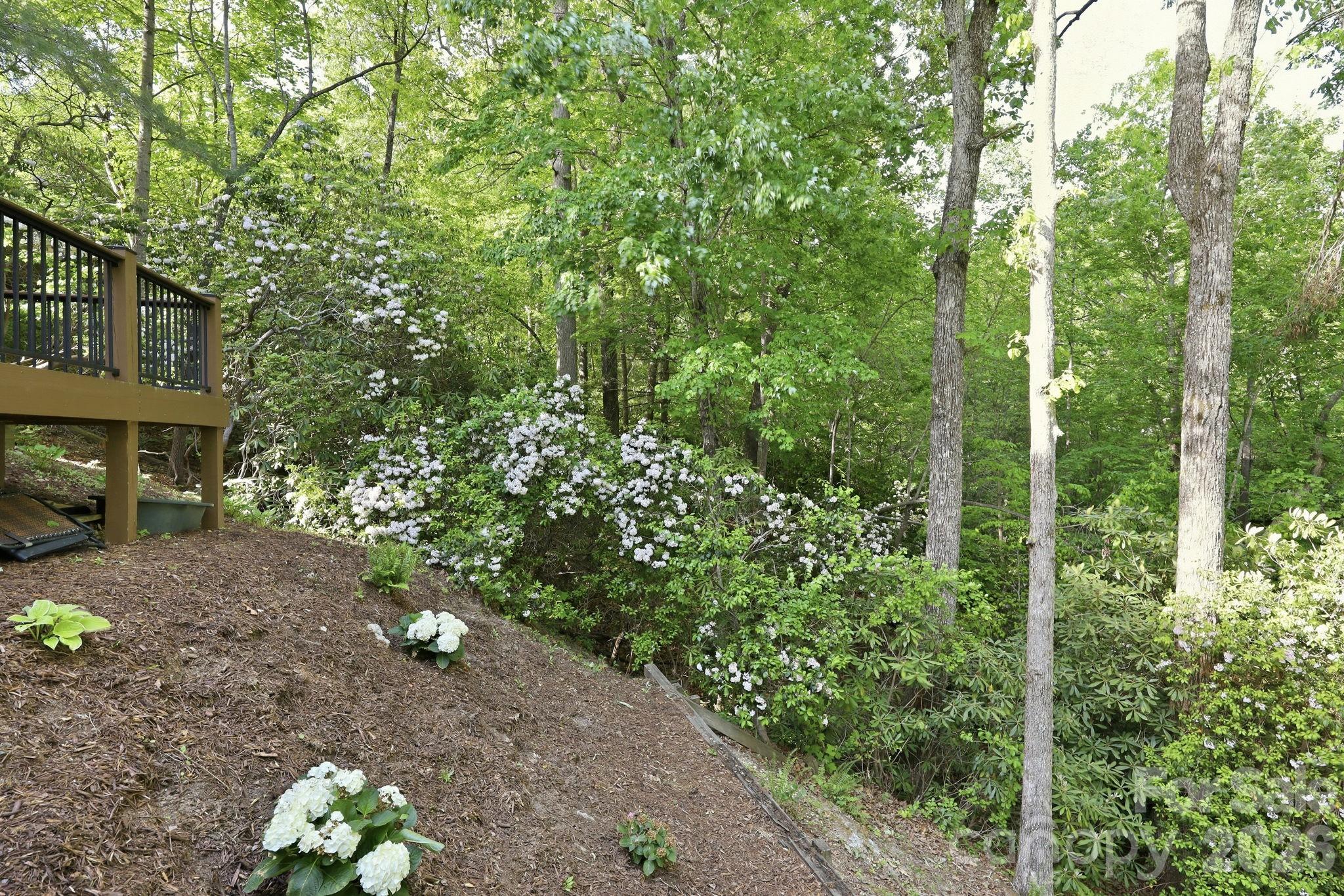 89 Dallas Drive Hendersonville NC 28739