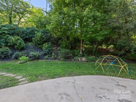 40 Panda Trail Waynesville NC 28785
