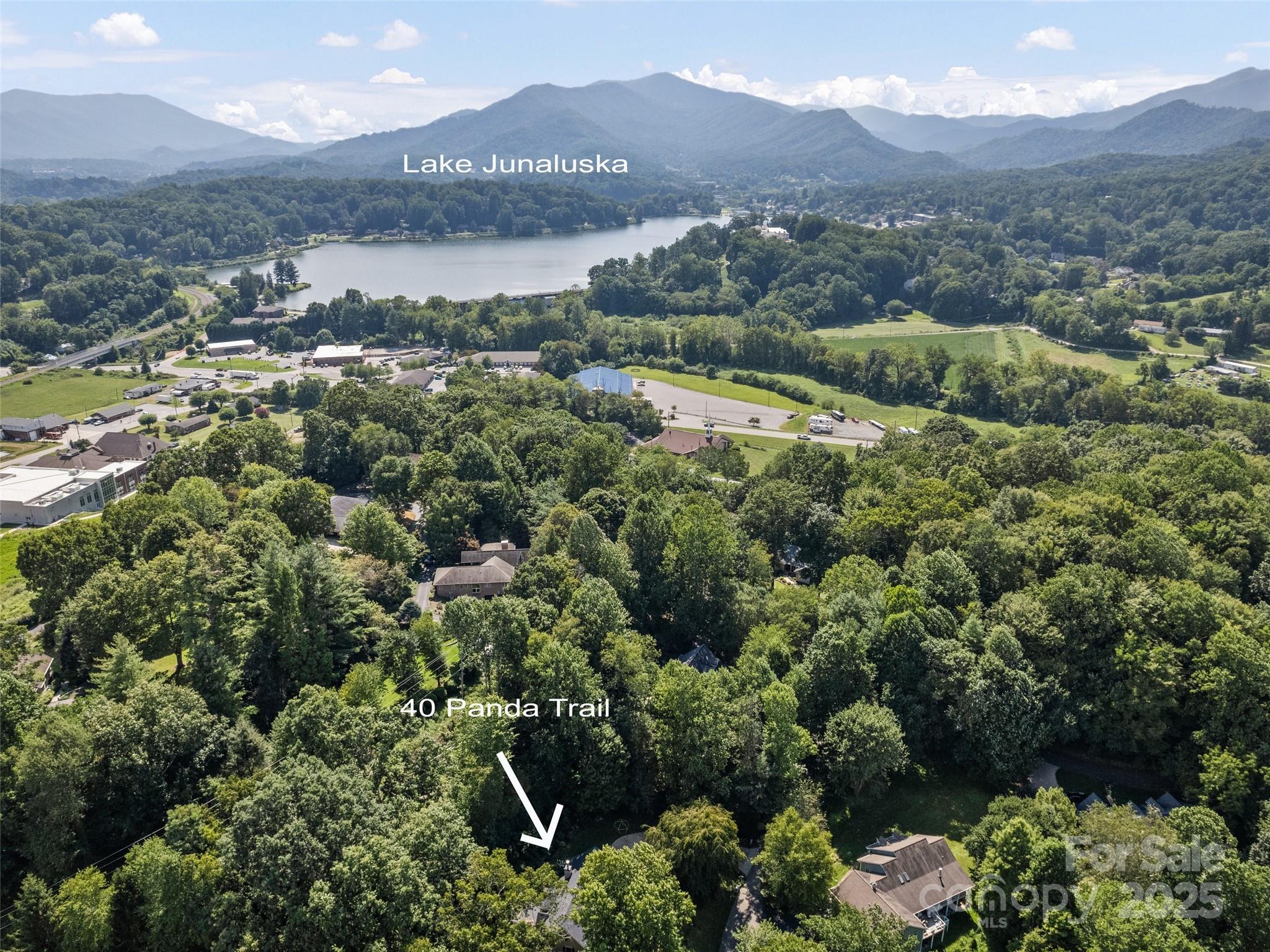 40 Panda Trail Waynesville NC 28785