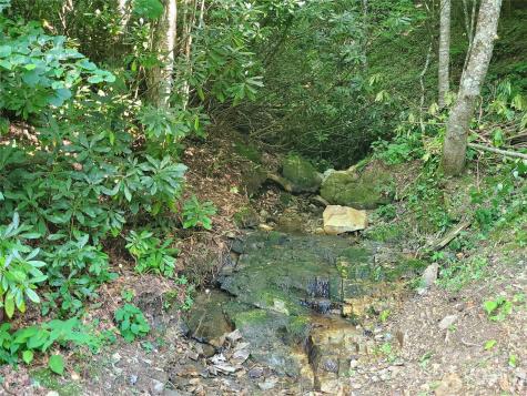 5023 Elk Park Highway Elk Park NC 28622