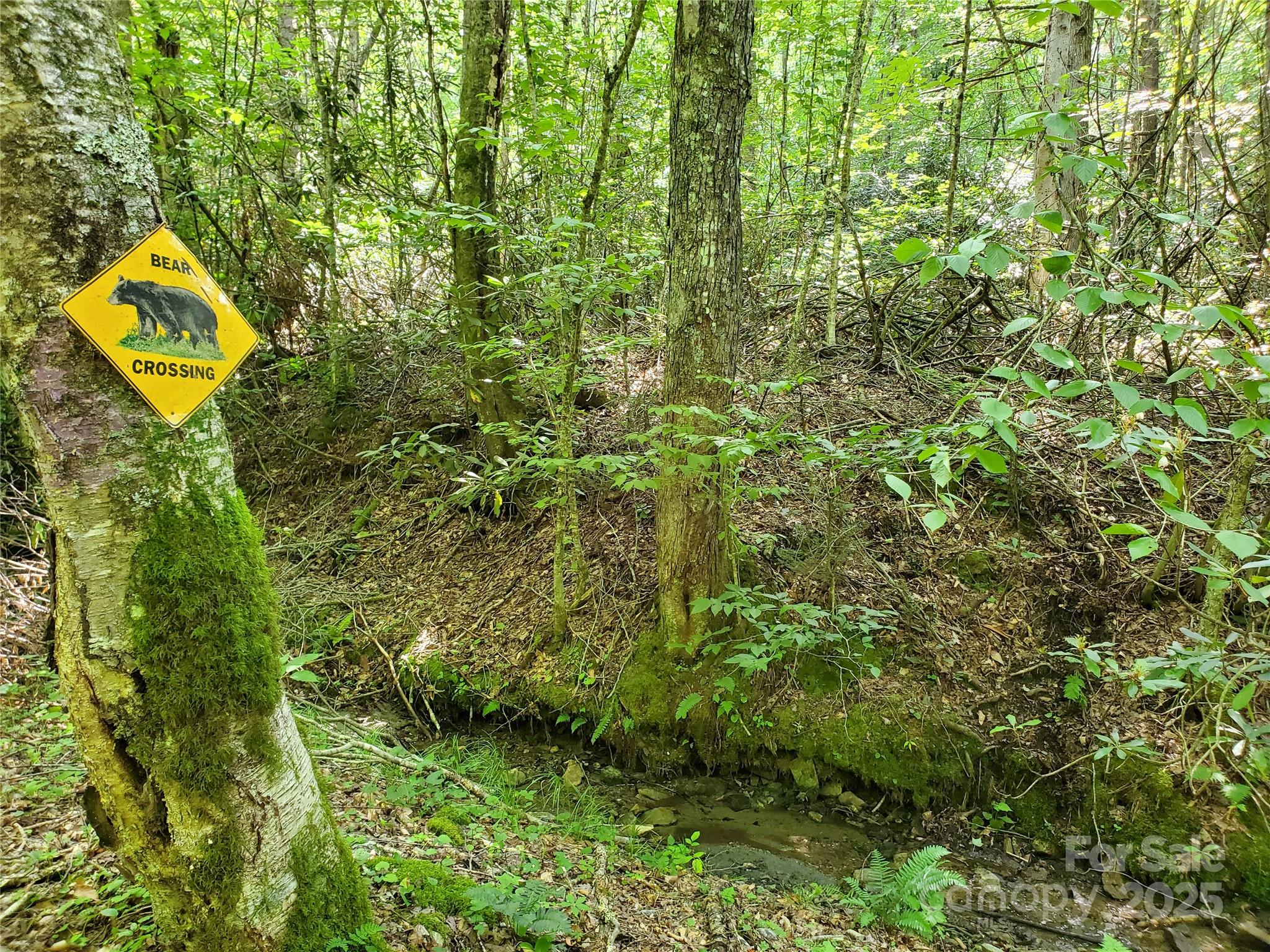 5023 Elk Park Highway Elk Park NC 28622