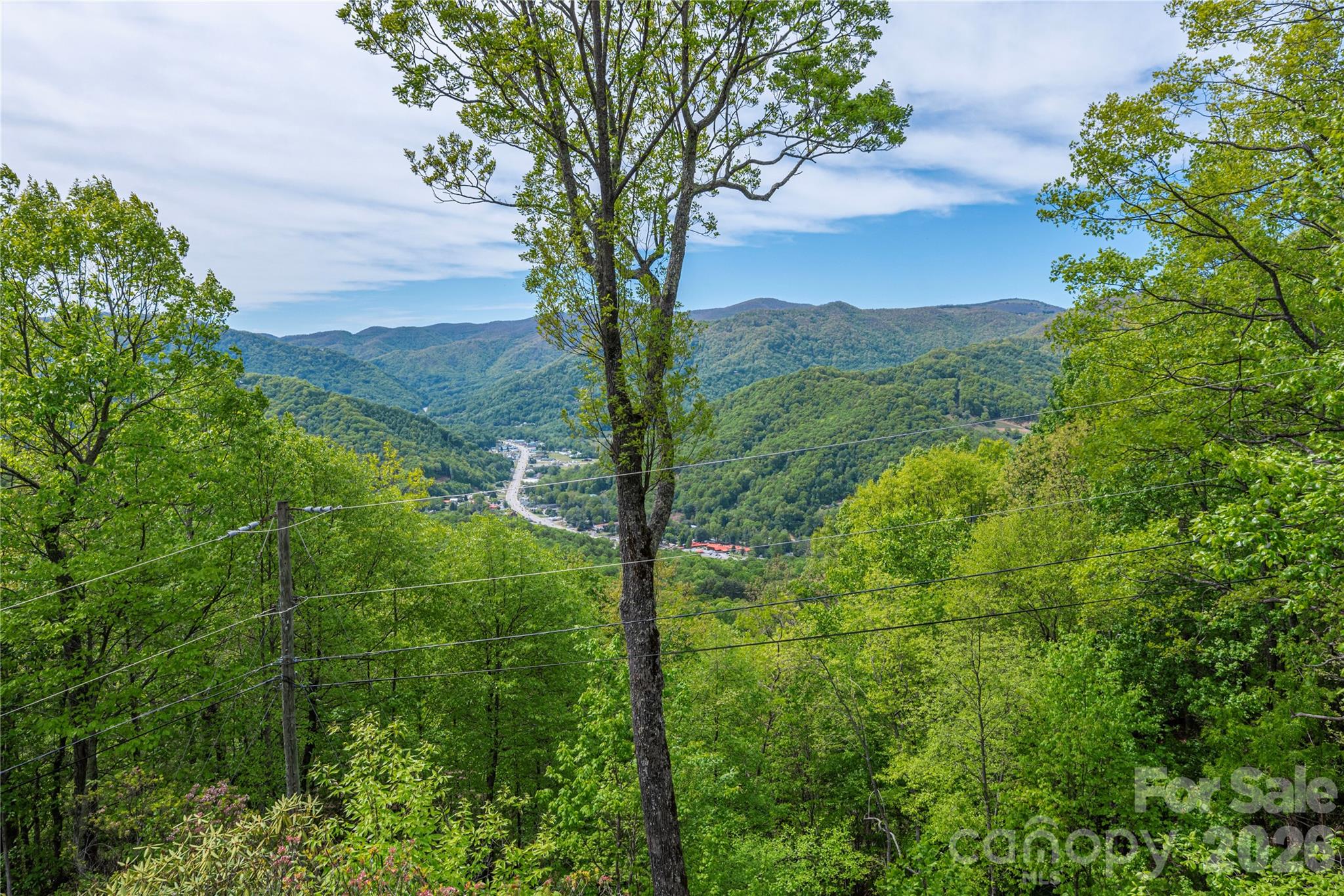 236 Dove Drive Maggie Valley NC 28751