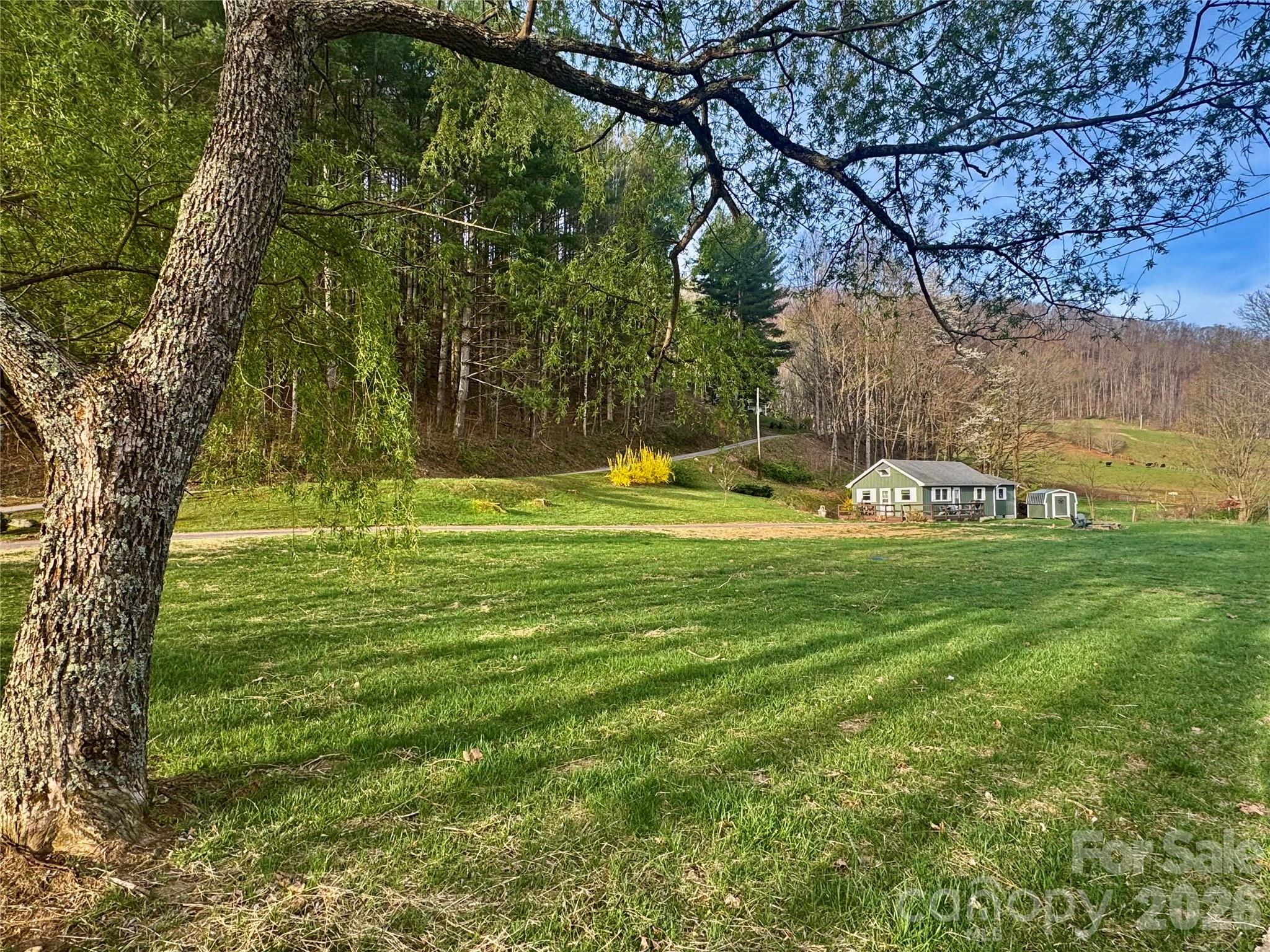 24 Baldridge Drive Burnsville NC 28714