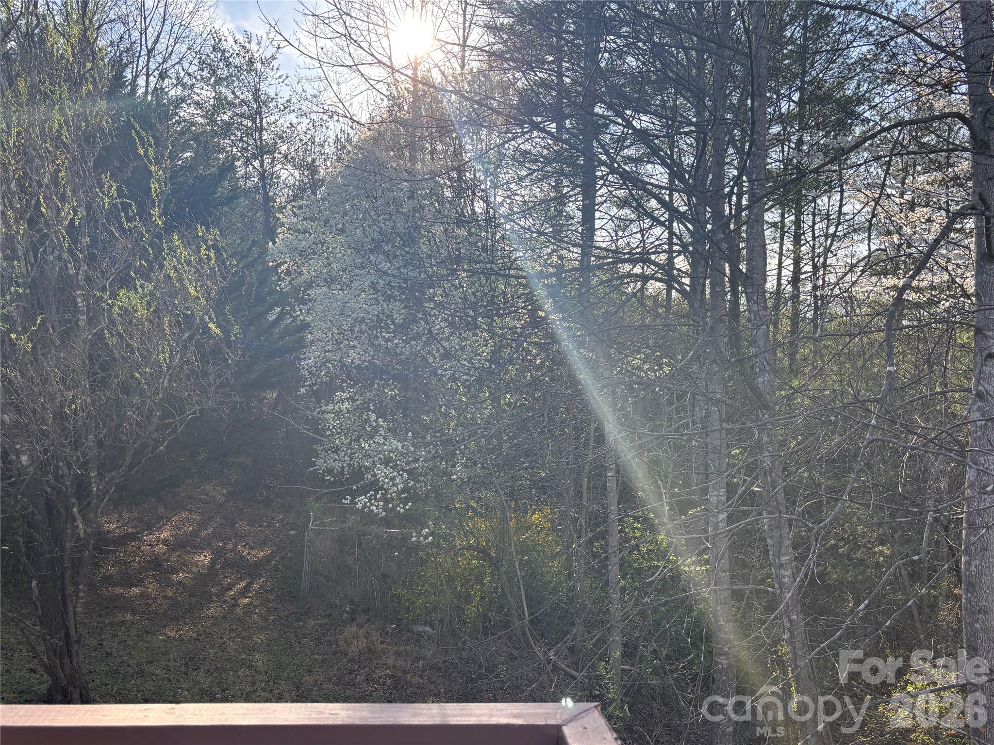 5164 Ralph Winchester Road Lenoir NC 28645