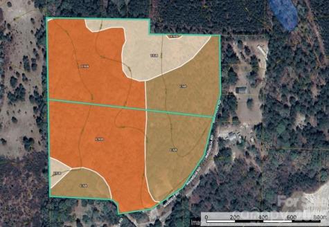 3133 Magnolia Road Bennettsville SC 29512