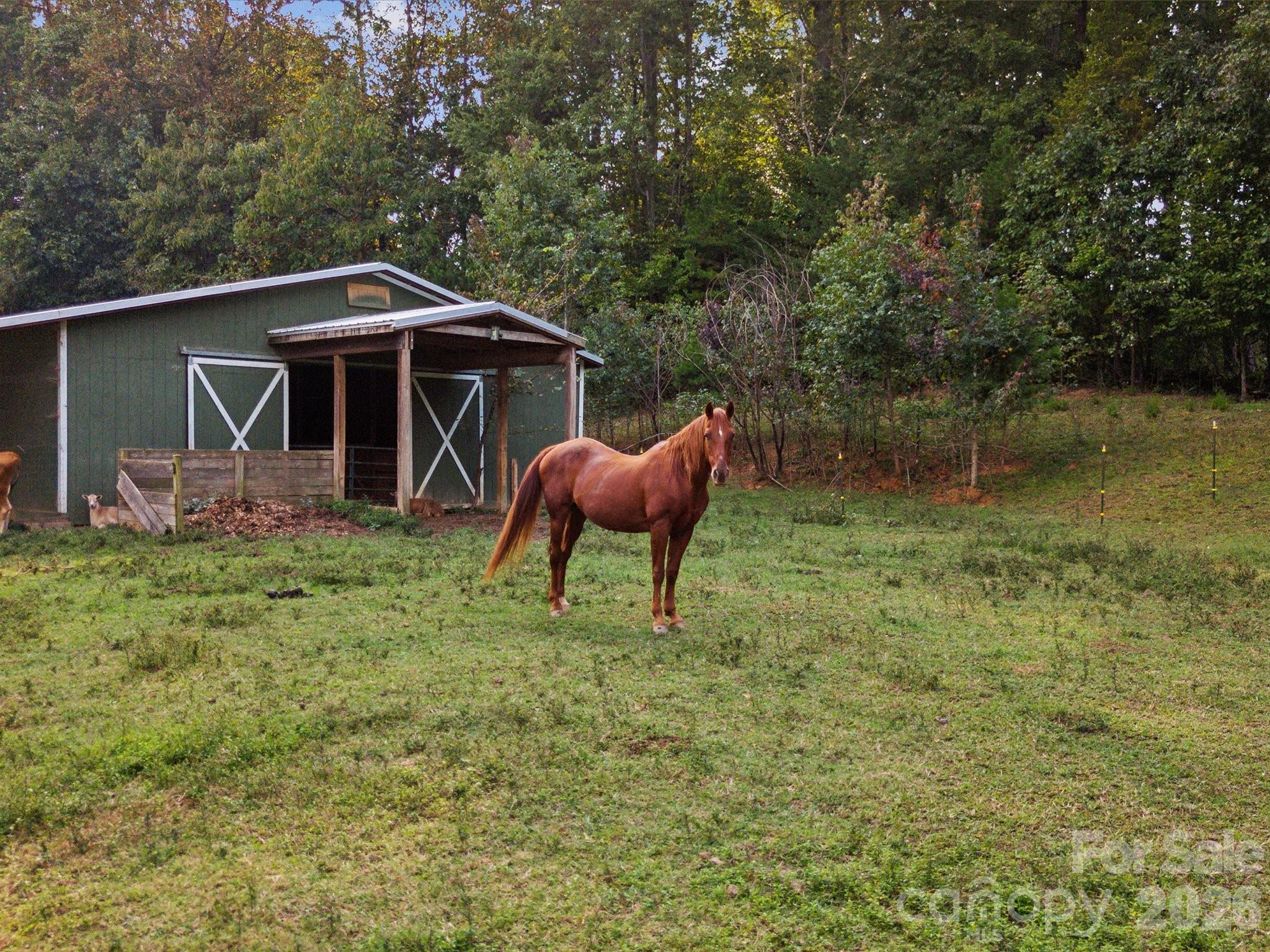 826 Deer Path Place Mooresville NC 28115