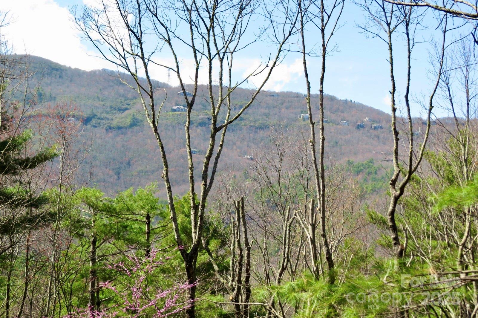 422 Lakeside Drive Lake Toxaway NC 28747