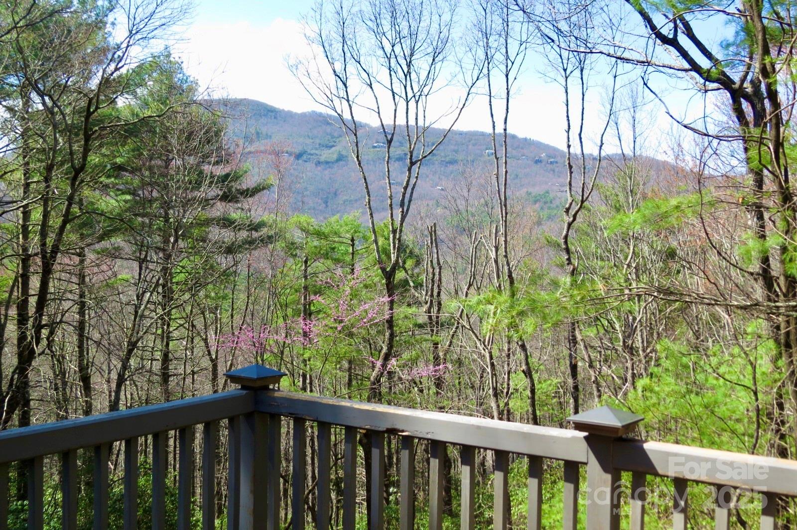 422 Lakeside Drive Lake Toxaway NC 28747