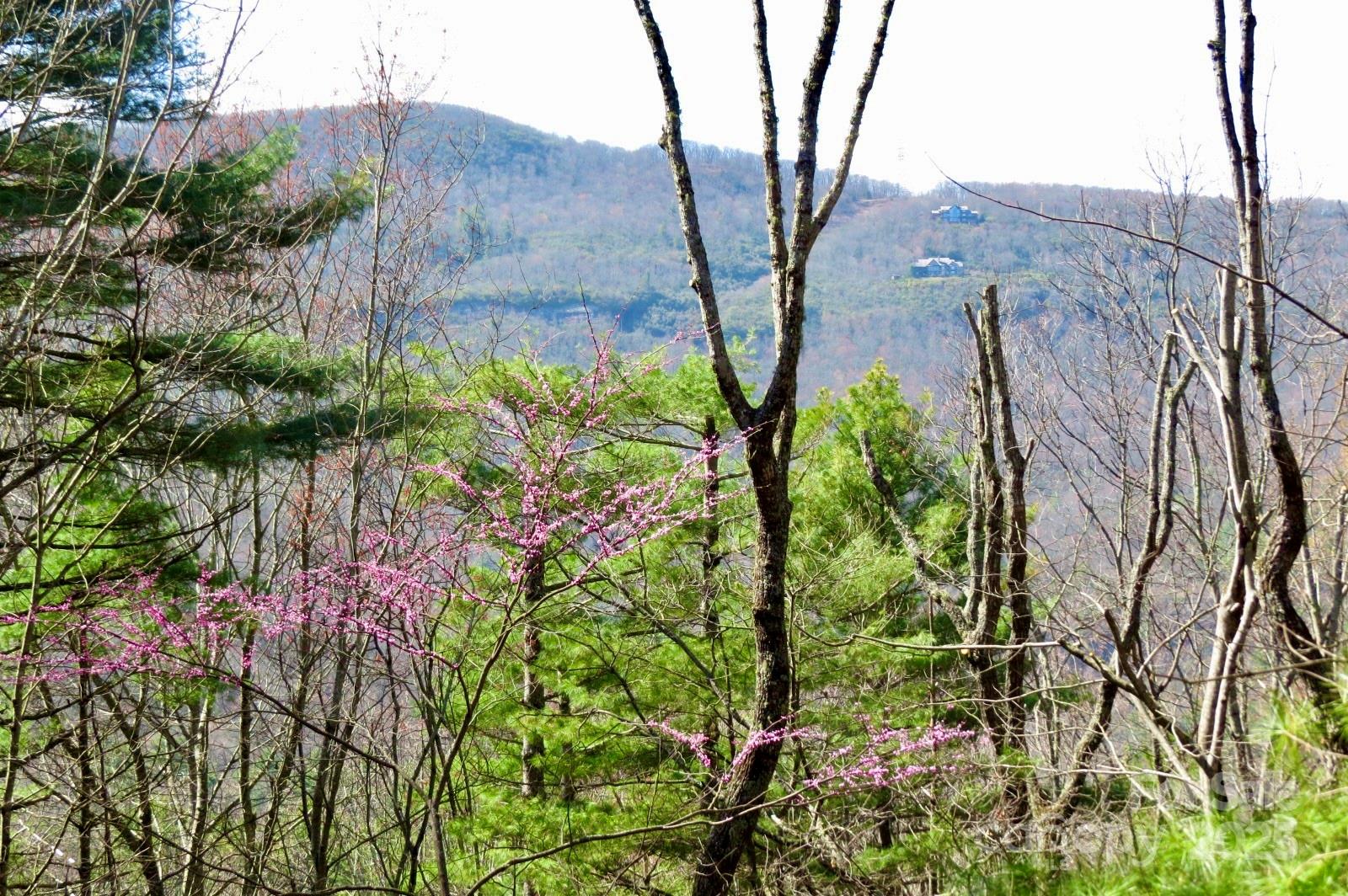 422 Lakeside Drive Lake Toxaway NC 28747